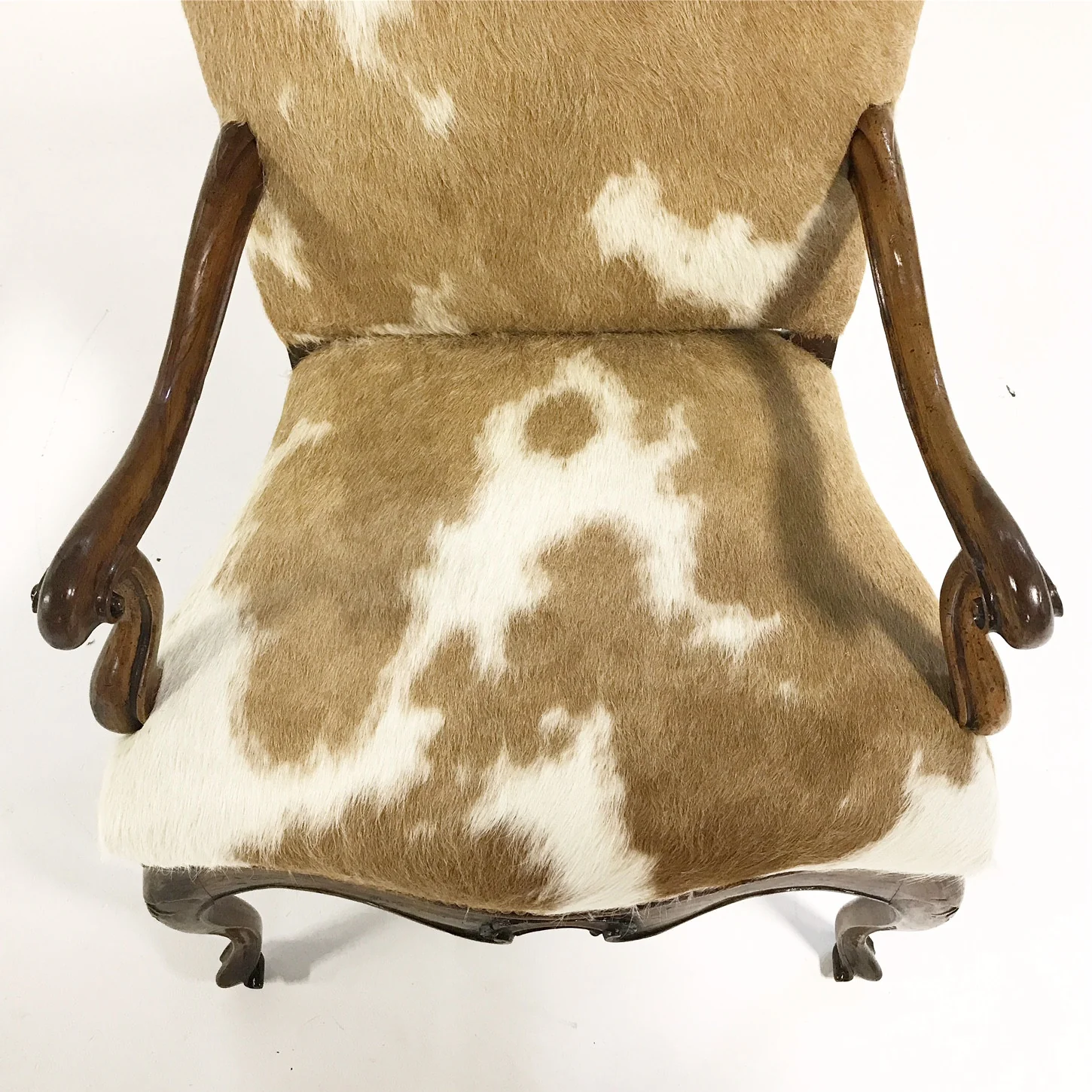 Armchair in Brazilian Cowhide - Image 7