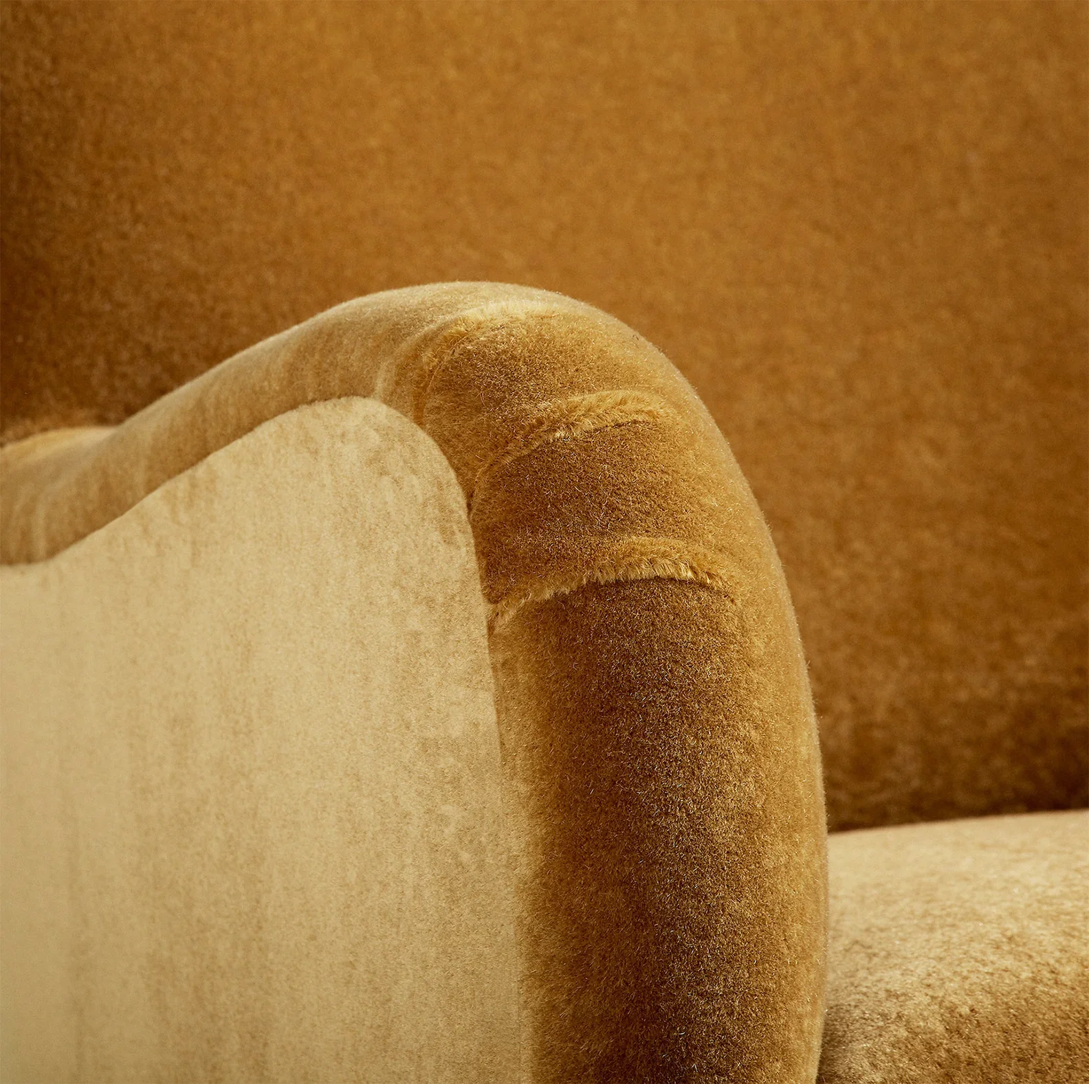 54 Chair | Teddy Moutarde - Image 2