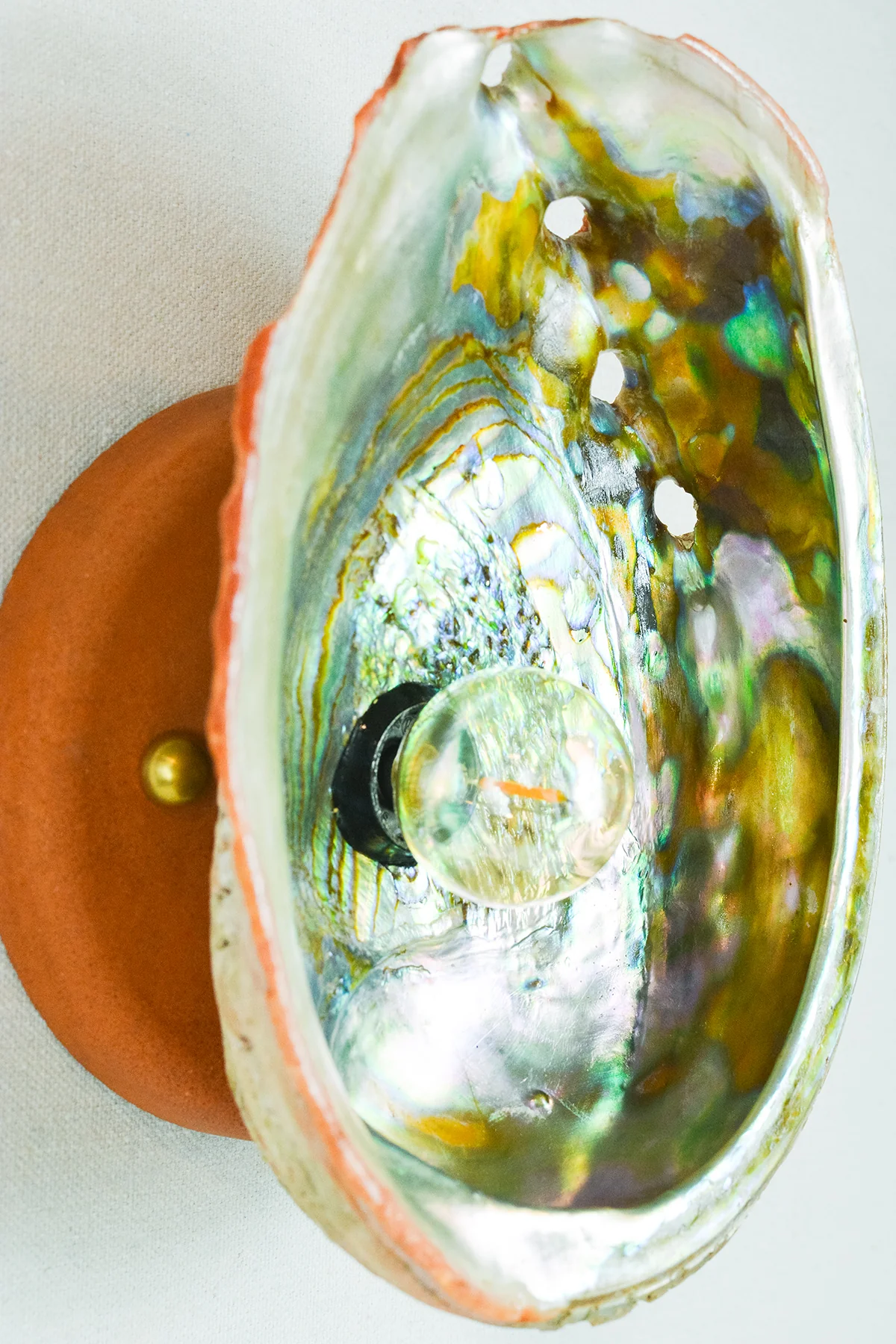 Abalone Siren's Sconce - Image 3