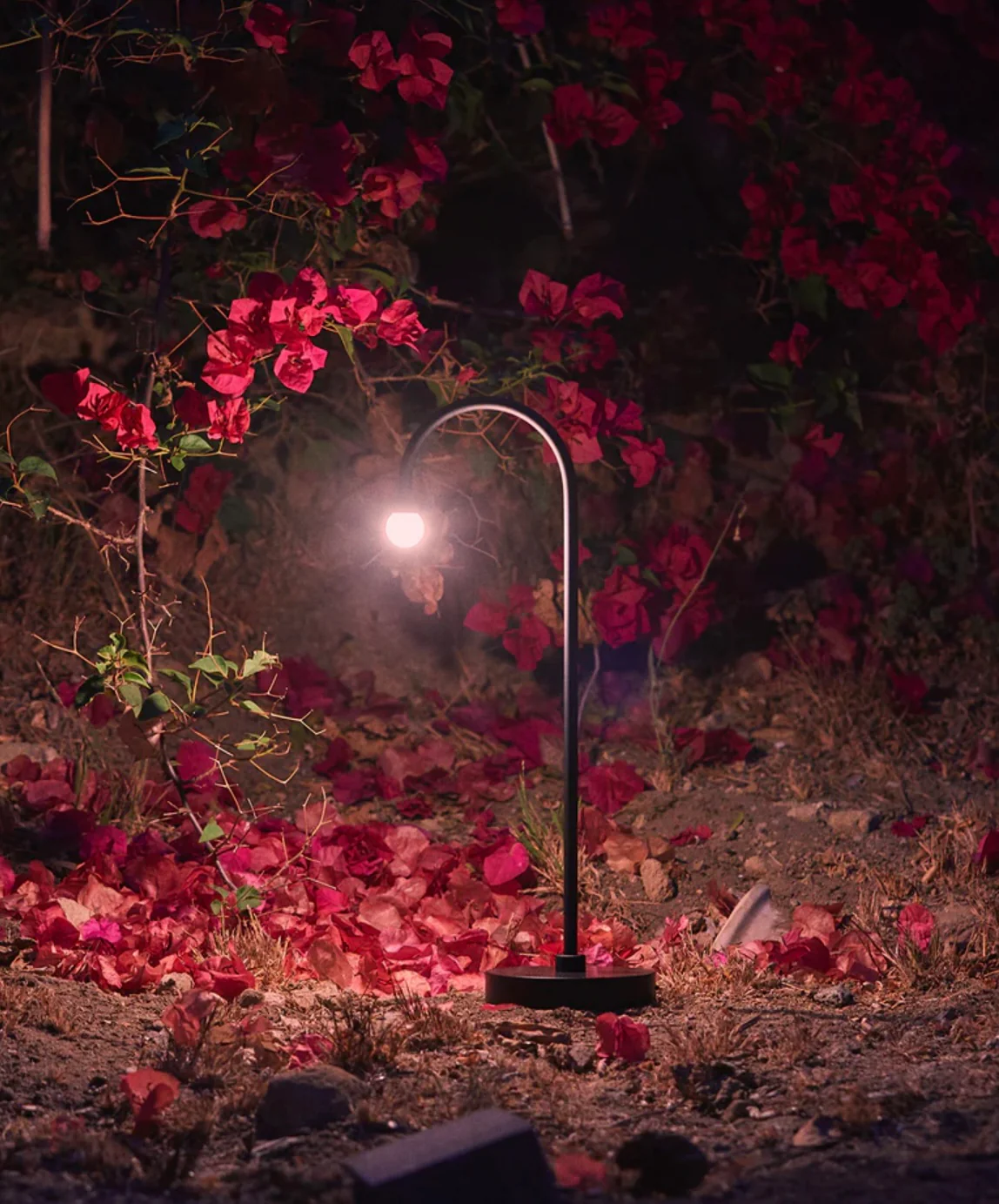 Arca Portable Lamp - Image 7