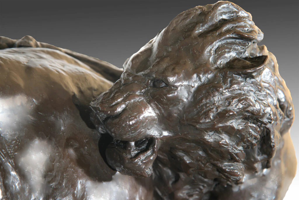 Battle Royale – African Lions Battling A Cape Buffalo Bull - Image 2