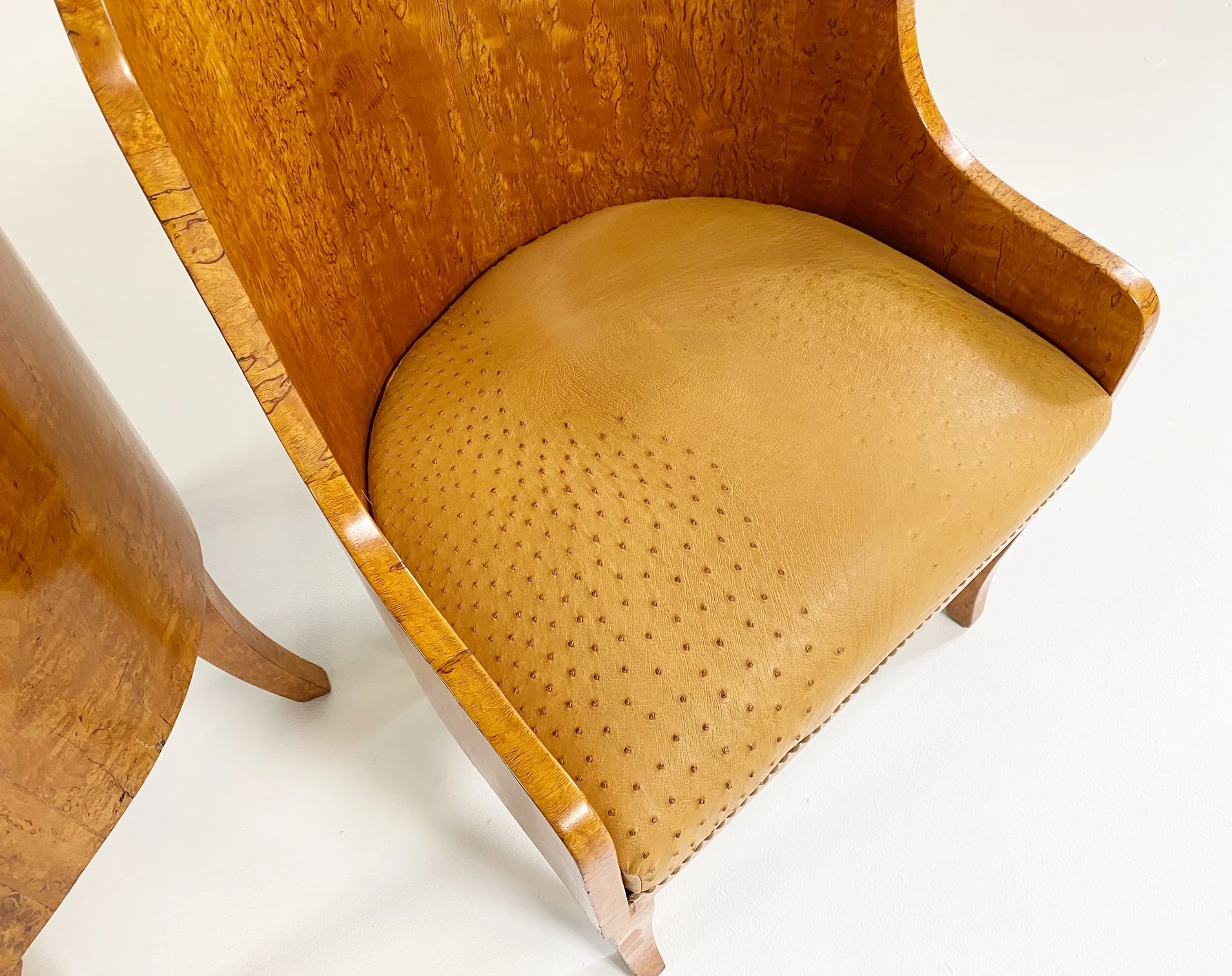 Biedermeier Gnarled Birch Armchairs in Ostrich Leather, pair - Image 6
