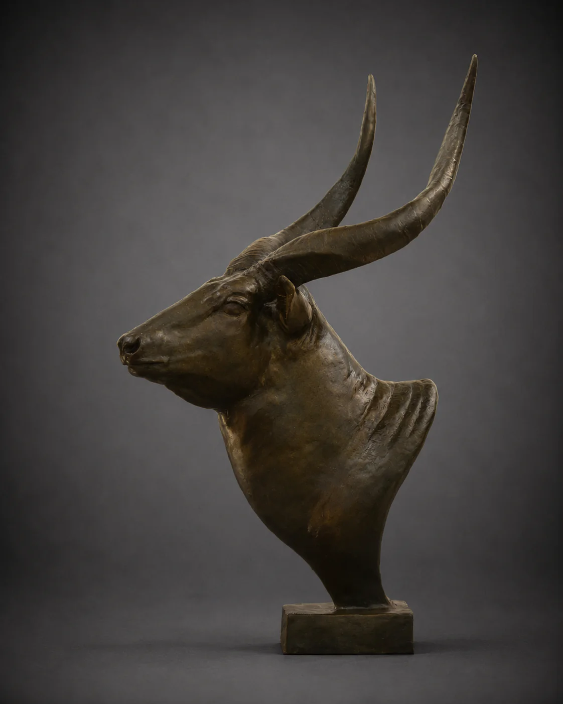 Bongo Bust – African Bongo