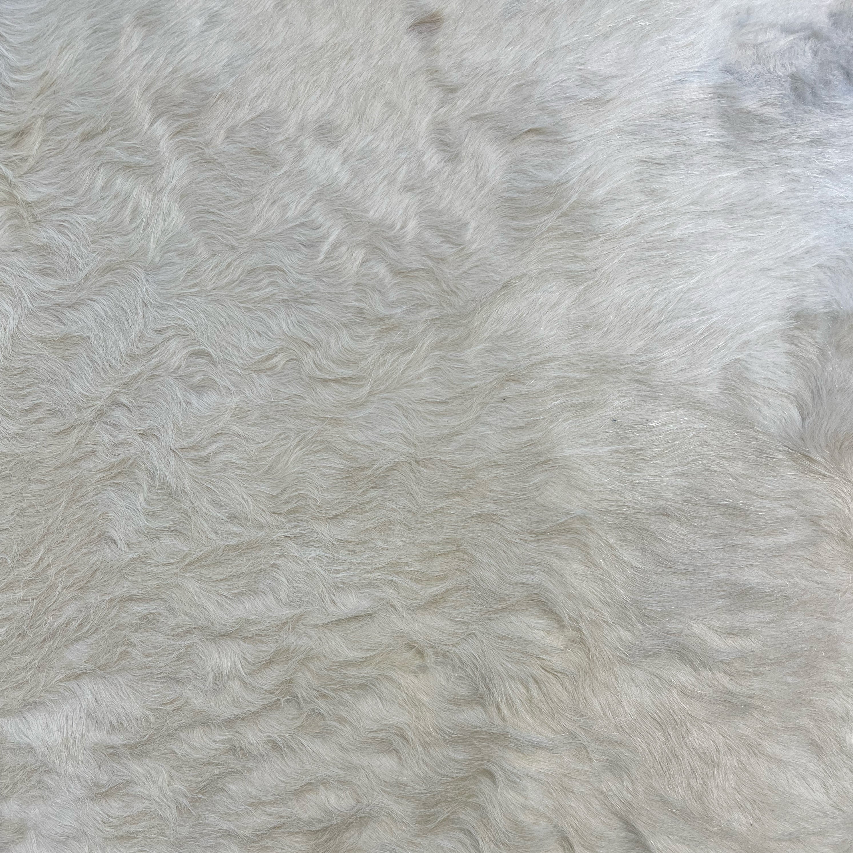 Brazilian Cowhide Rug, Ivory, No. 16 - Image 3
