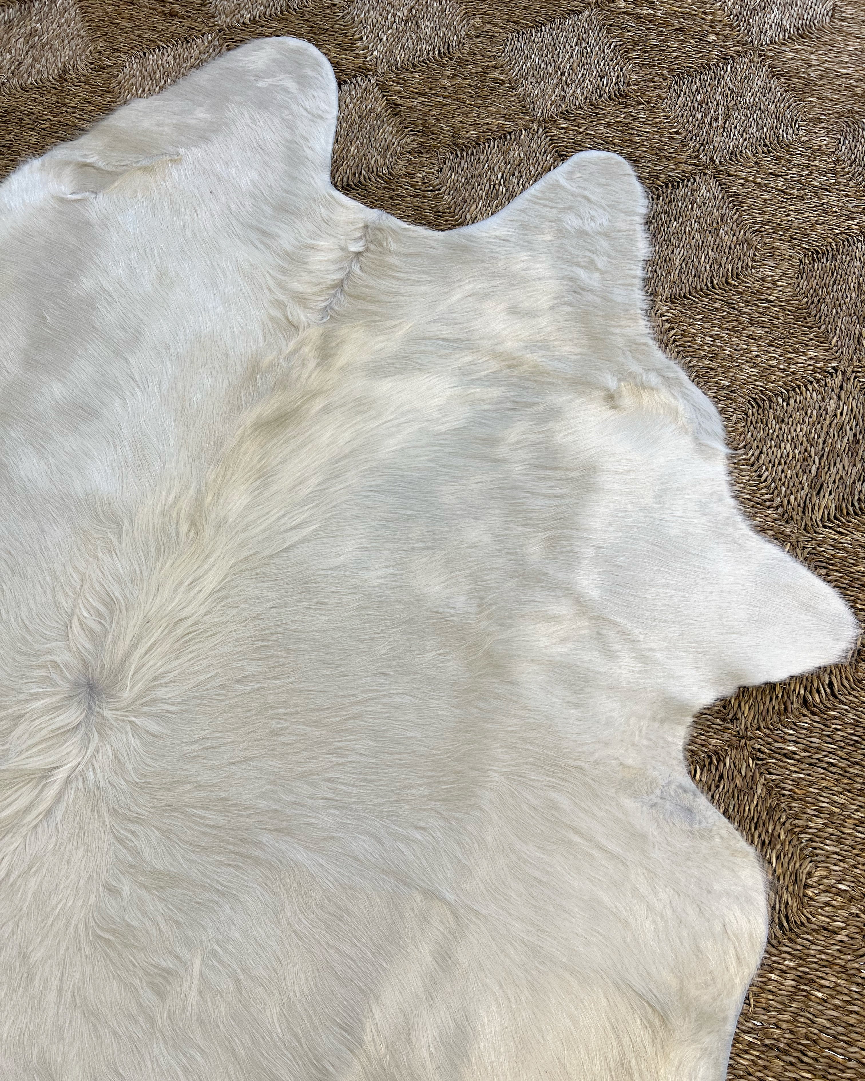 Brazilian Cowhide Rug, Ivory, No. 18 - Image 2