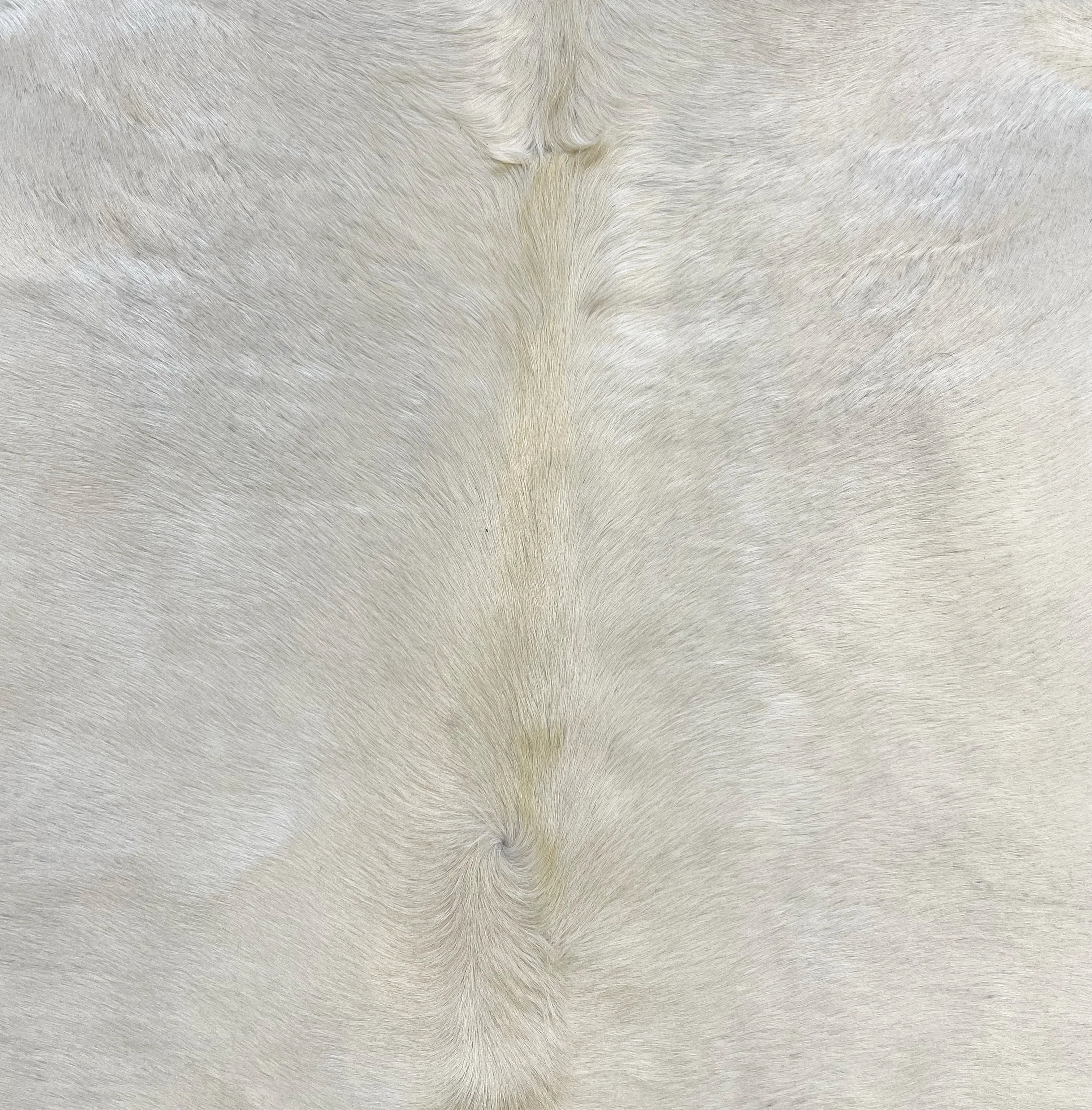 Brazilian Cowhide Rug, Ivory, No. 2 - Image 3
