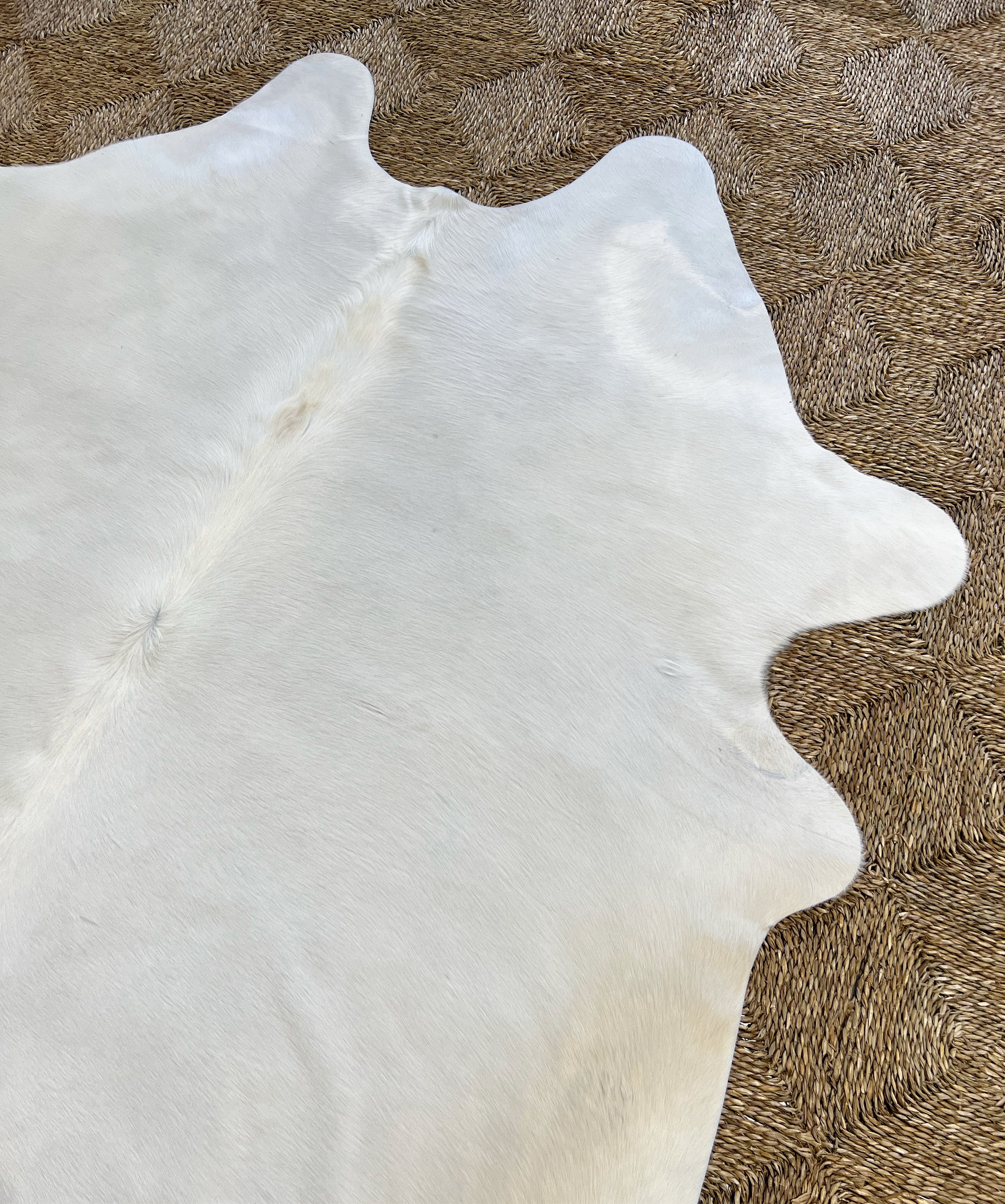 Brazilian Cowhide Rug, Ivory, No. 8 - Image 2