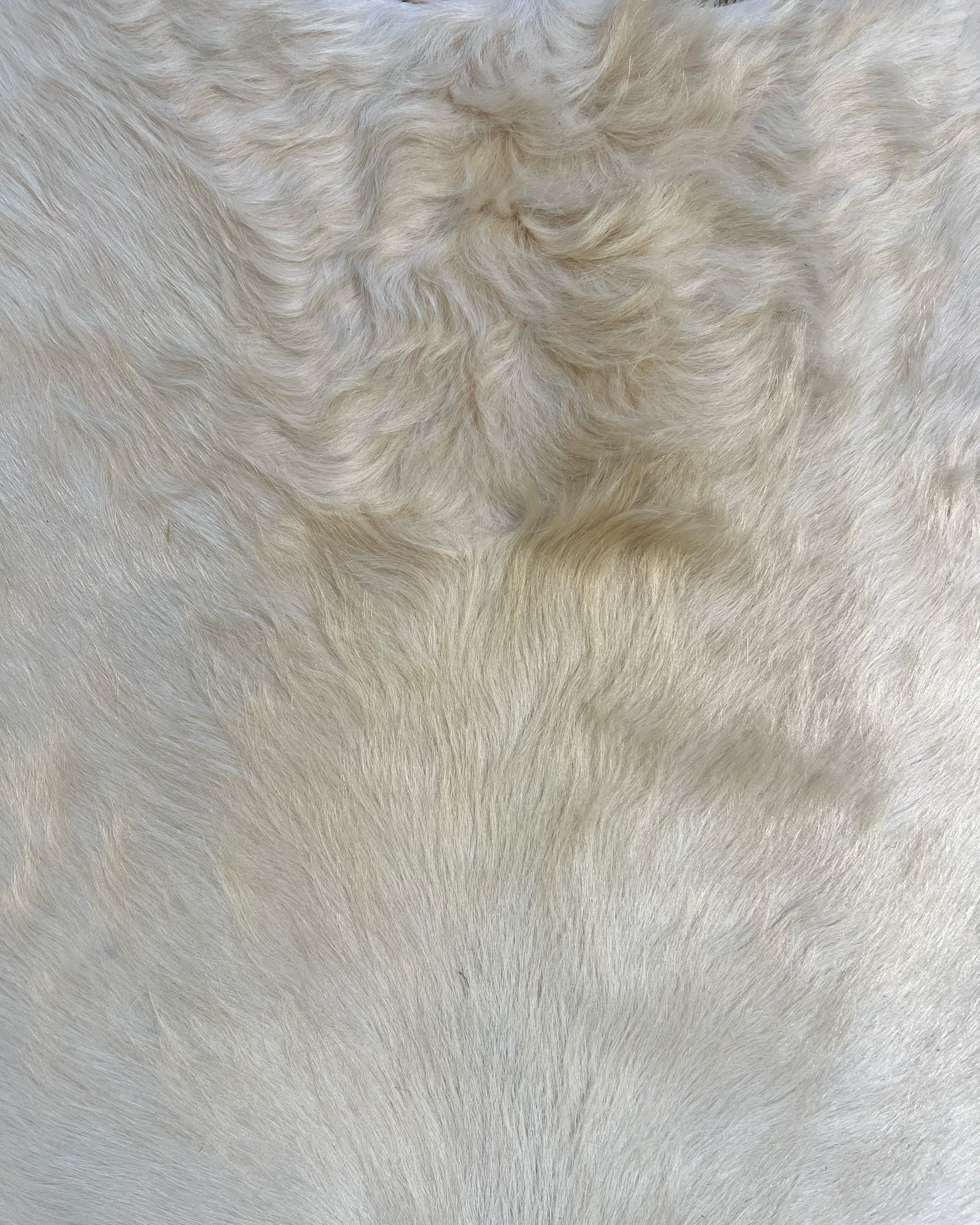 Brazilian Cowhide Rug, Ivory, No. 9 - Image 3