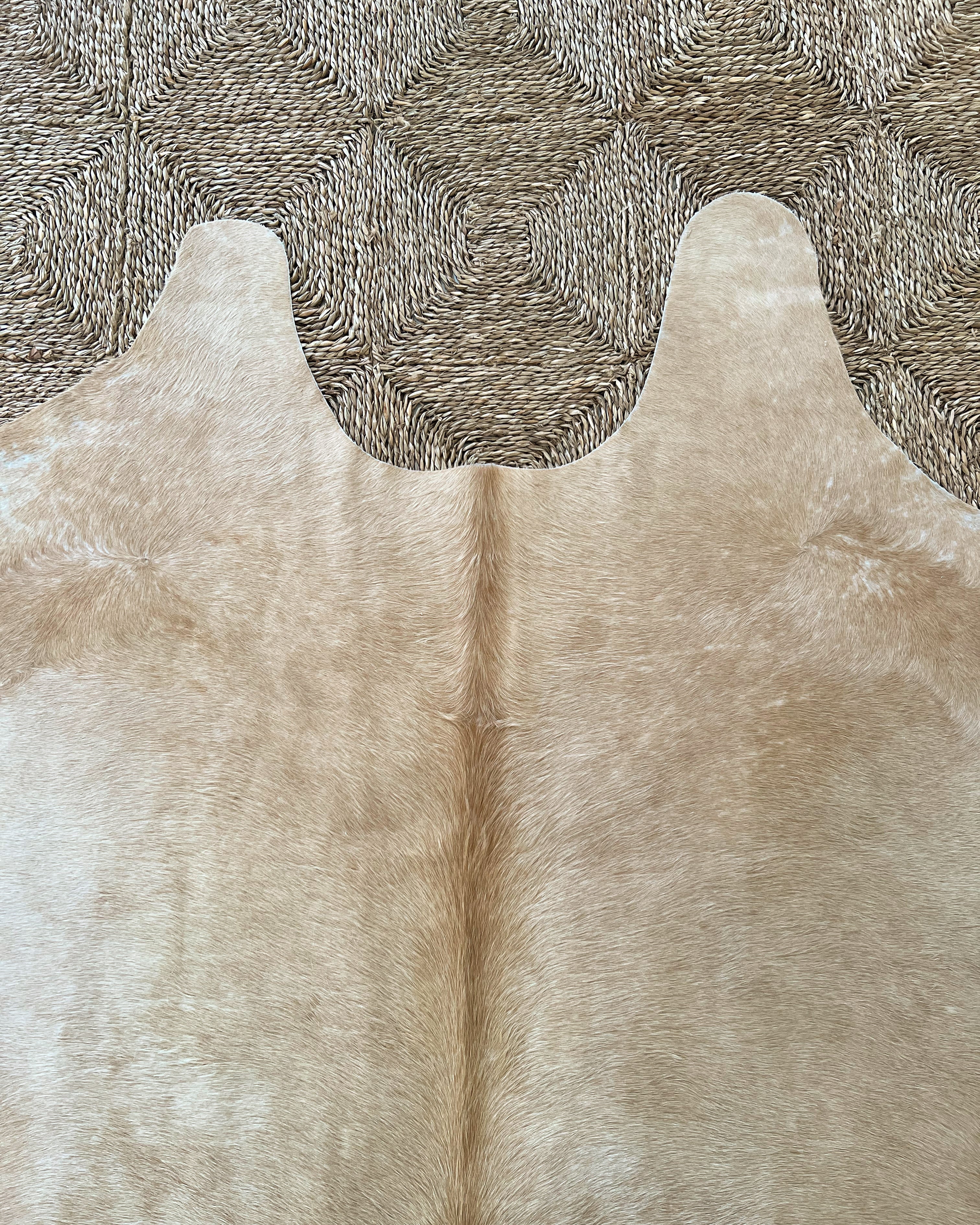 Brazilian Cowhide Rug, Palomino, No. 14 - Image 3