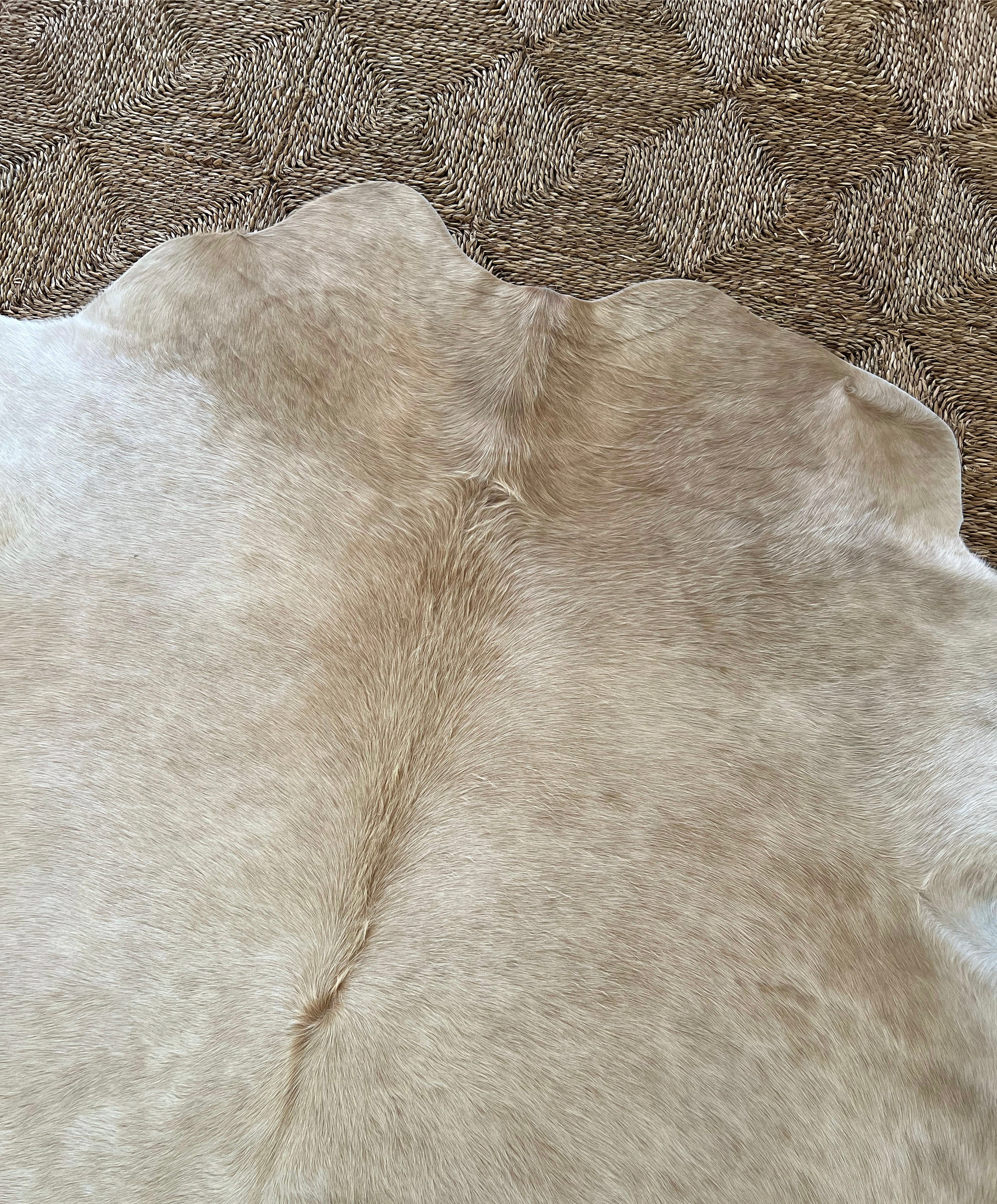 Brazilian Cowhide Rug, Palomino, No. 5 - Image 2