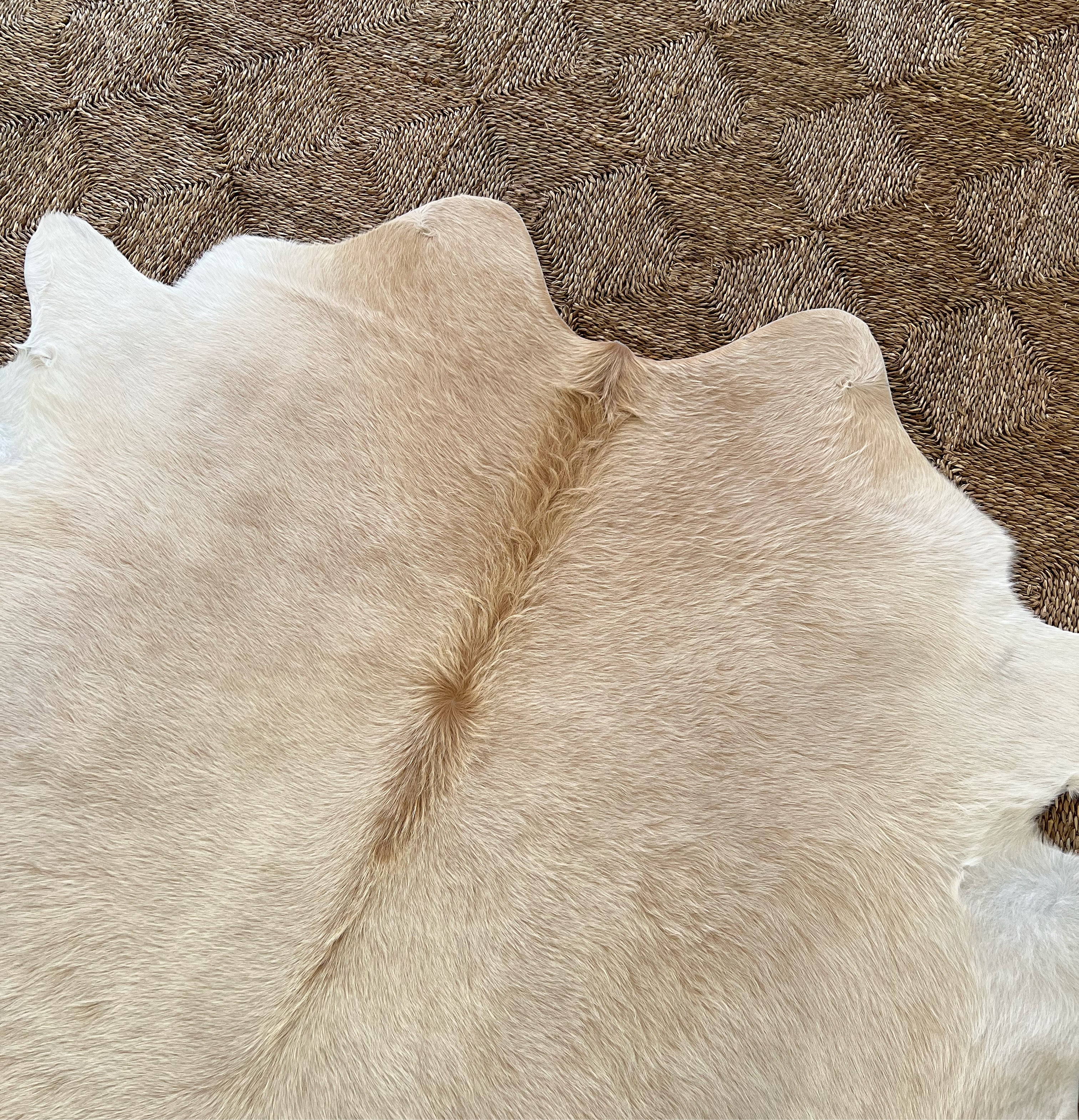 Brazilian Cowhide Rug, Palomino, No. 6 - Image 2