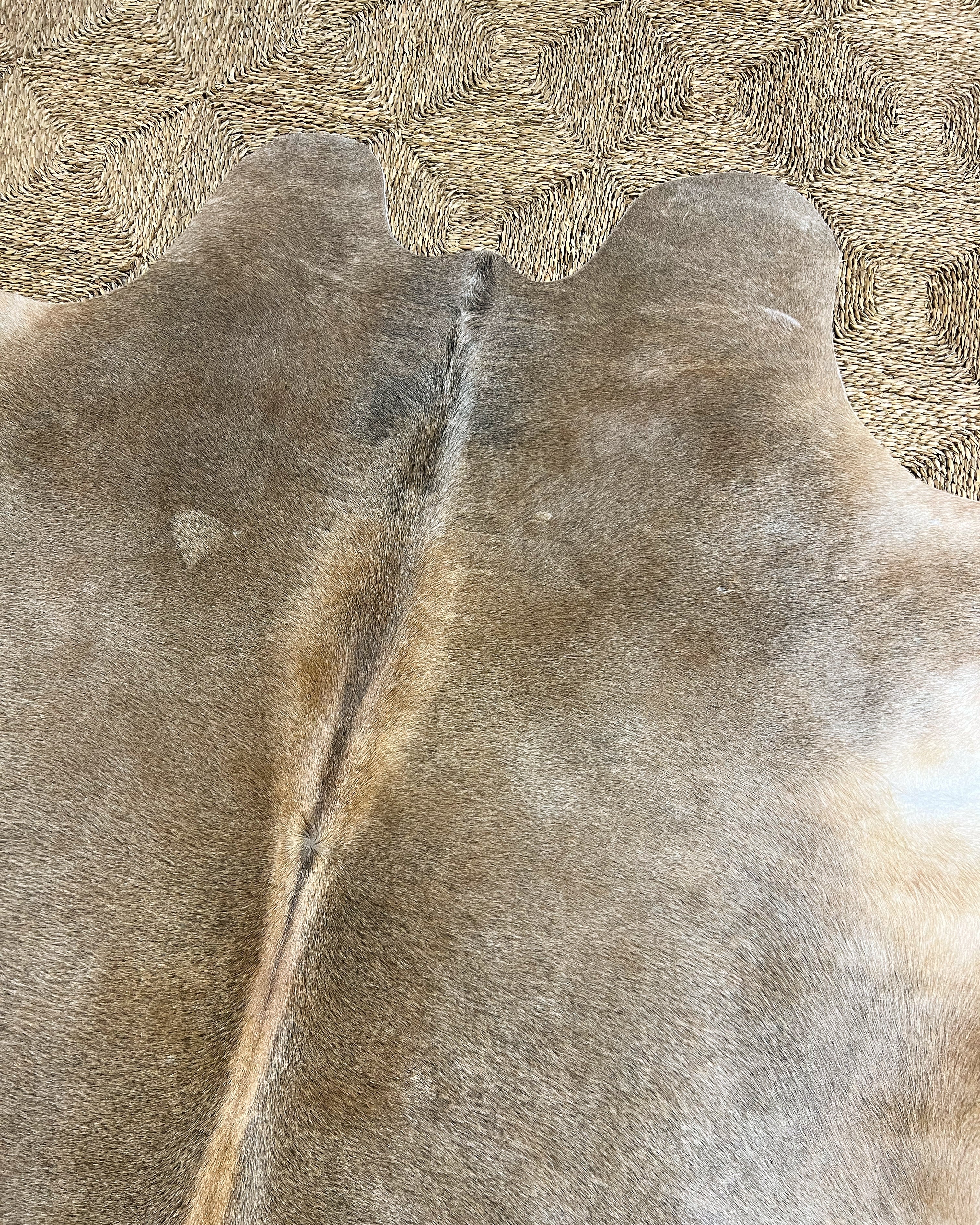 Brazilian Cowhide Rug, Salt and Pepper Brown, No. 1 - Image 2