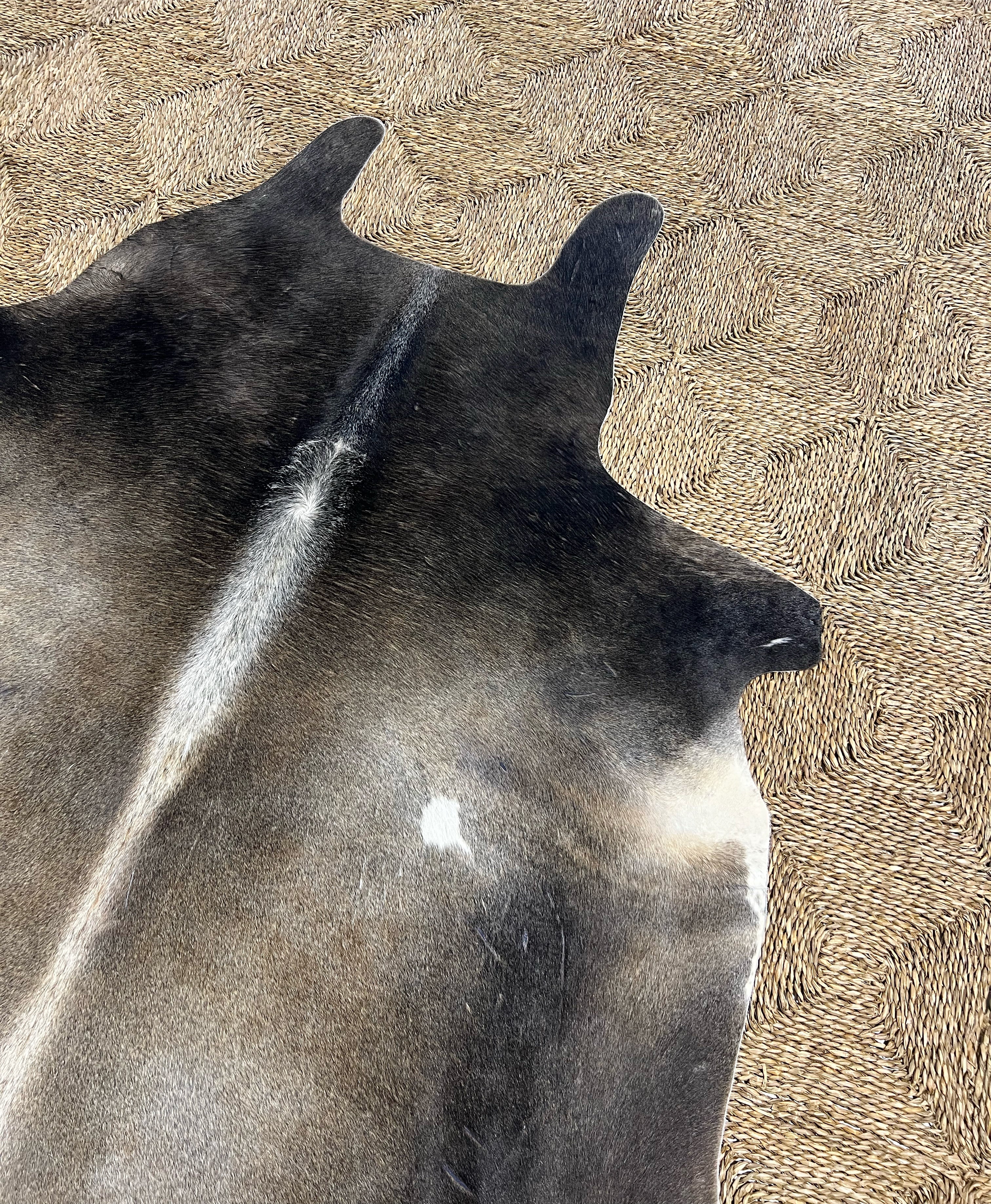 Brazilian Cowhide Rug, Salt and Pepper Brown, No. 7 - Image 2