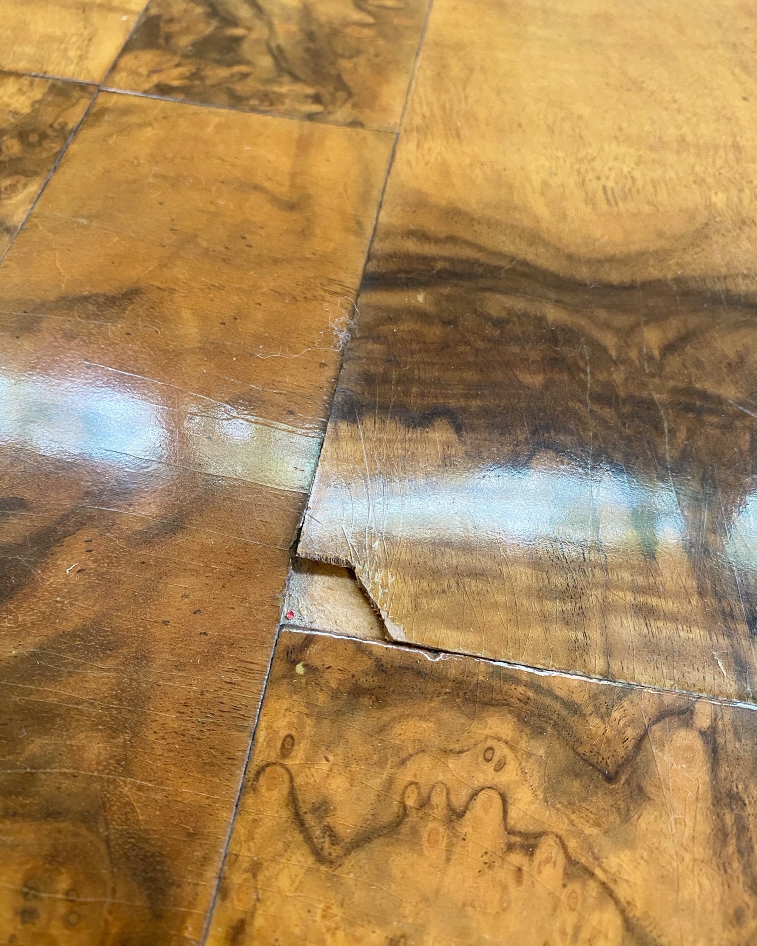 Cityscape Patchwork Burl Wood Dining Table - Image 9