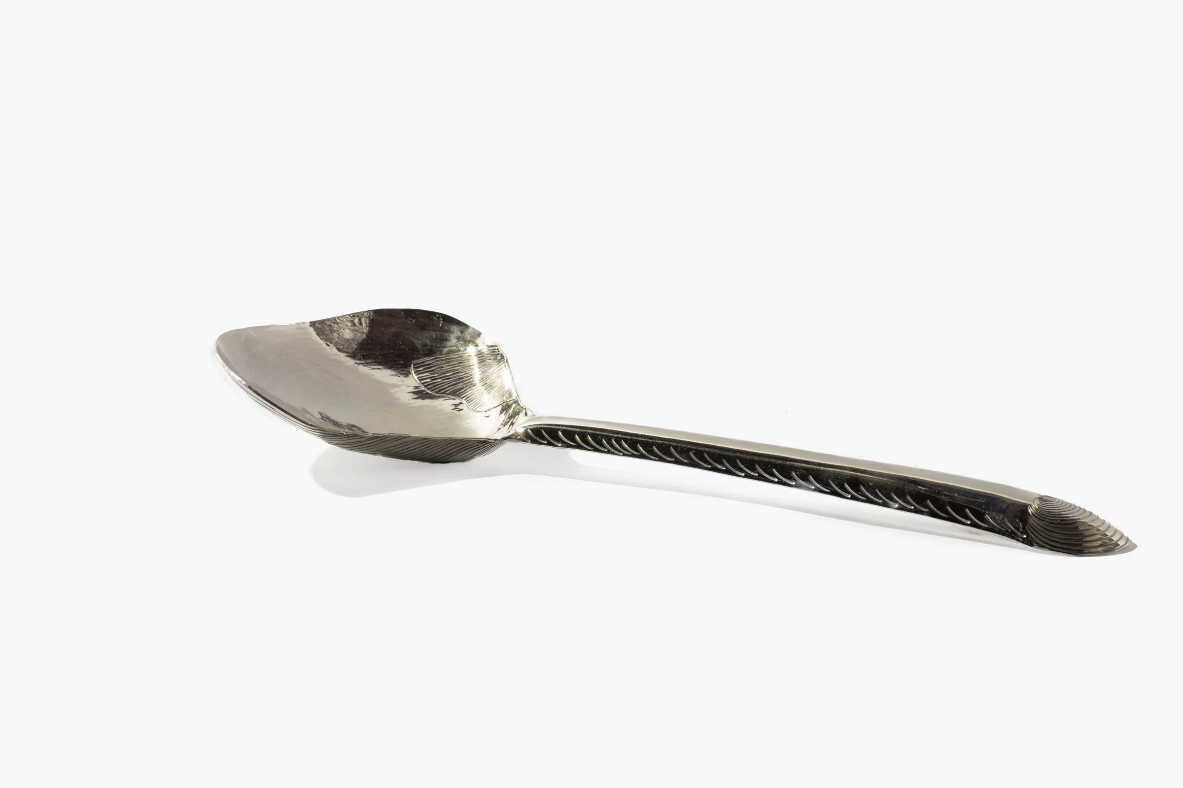 Clam Shell Spoon - Image 5