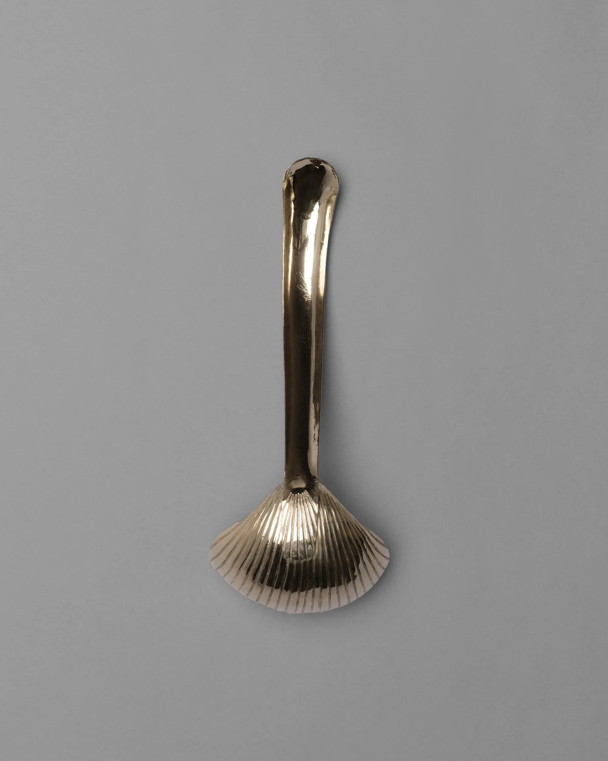 Cockle Shell Serving Ladle - Image 5