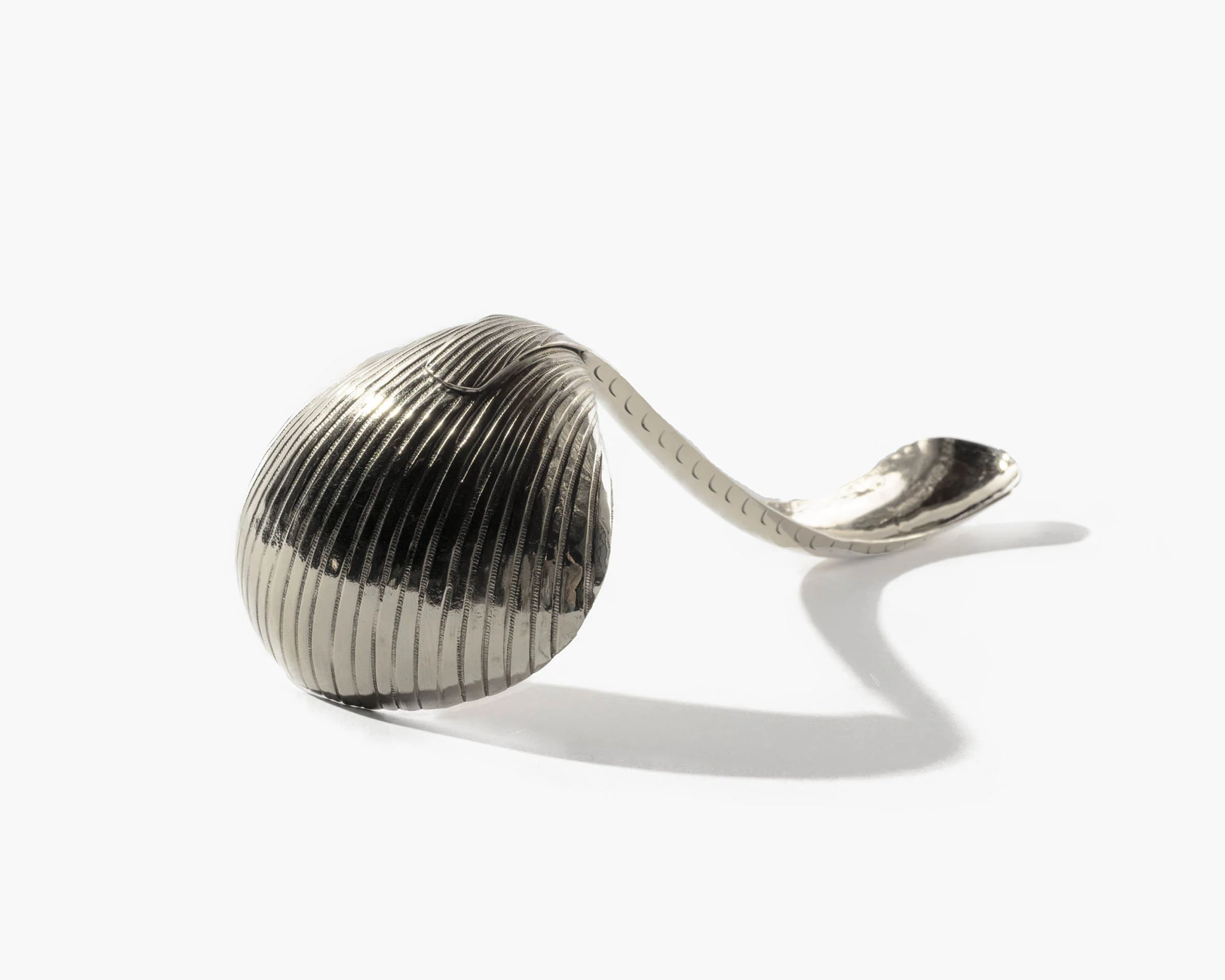 Cockle Shell Serving Ladle - Image 7