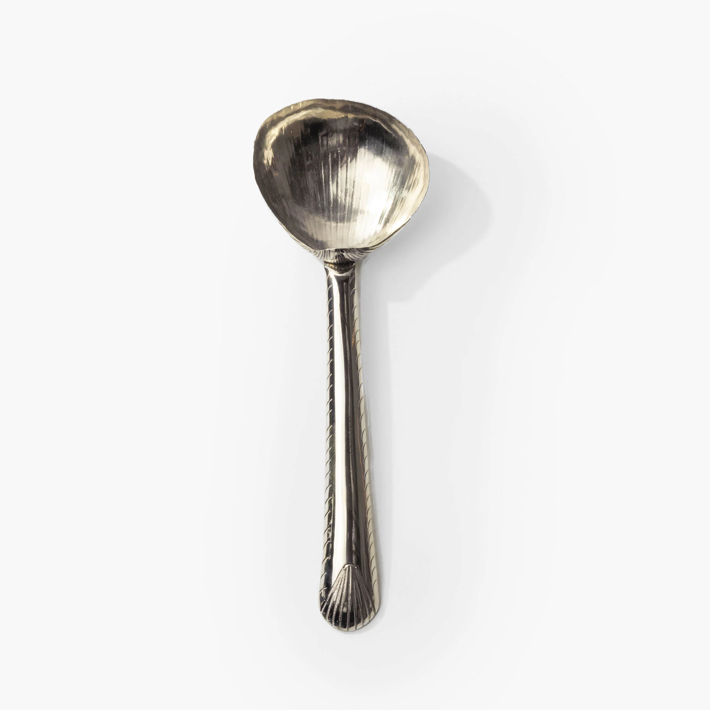 Cockle Shell Serving Spoon - Image 4