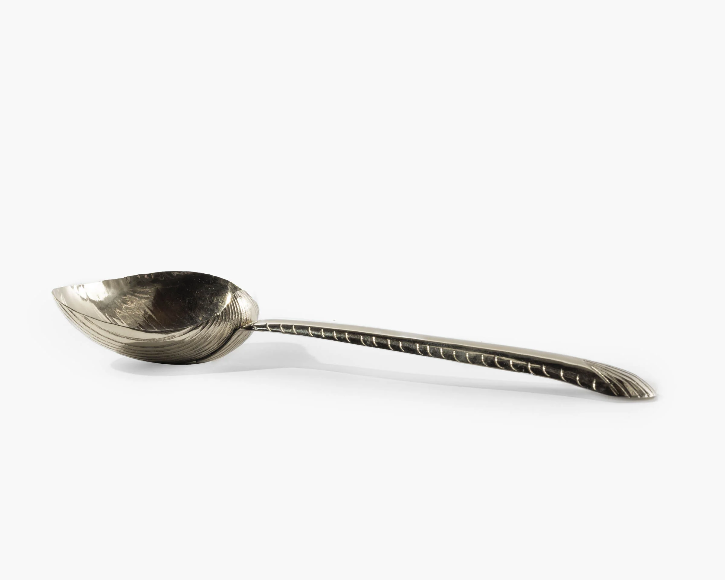 Cockle Shell Serving Spoon - Image 5