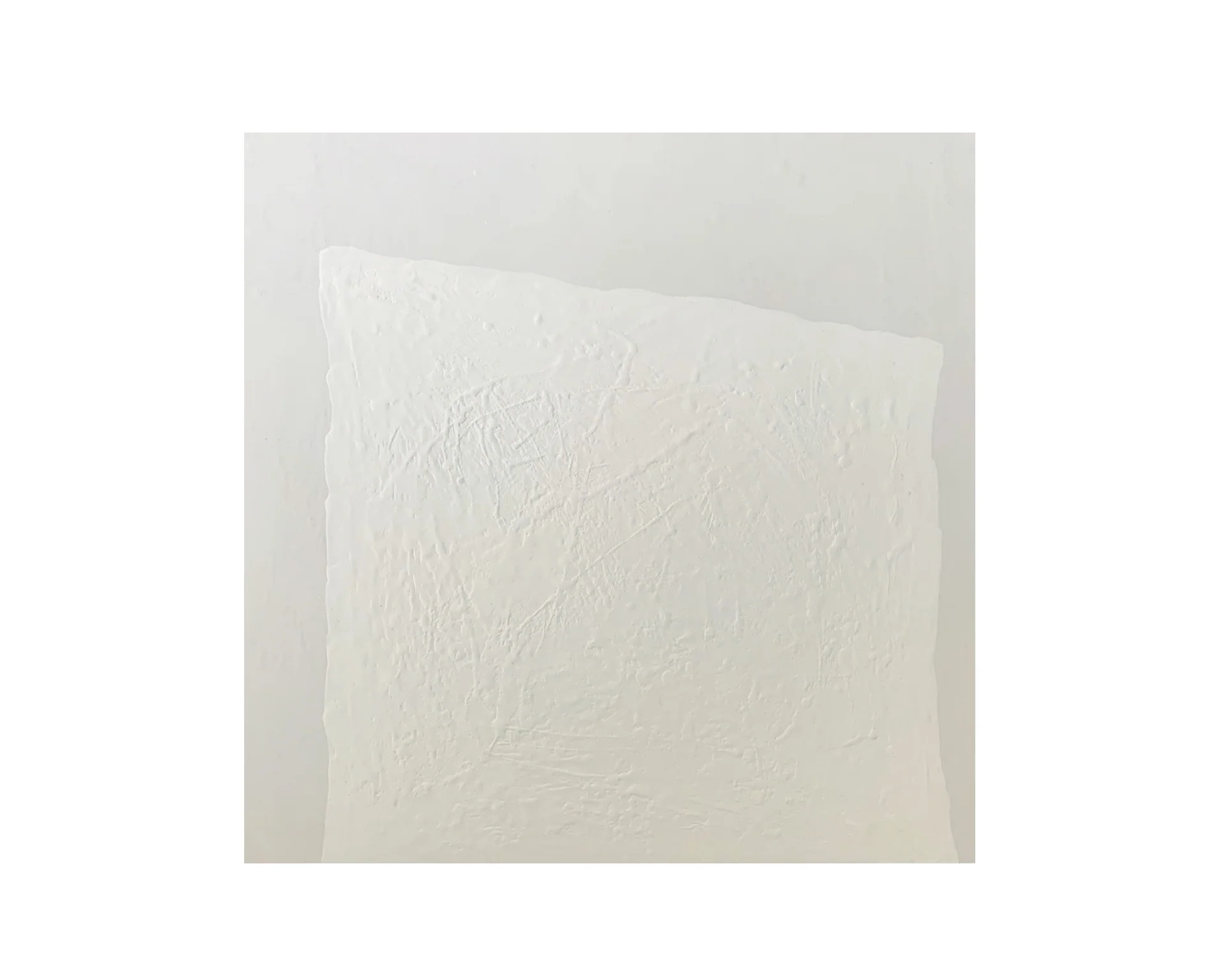 CS, White