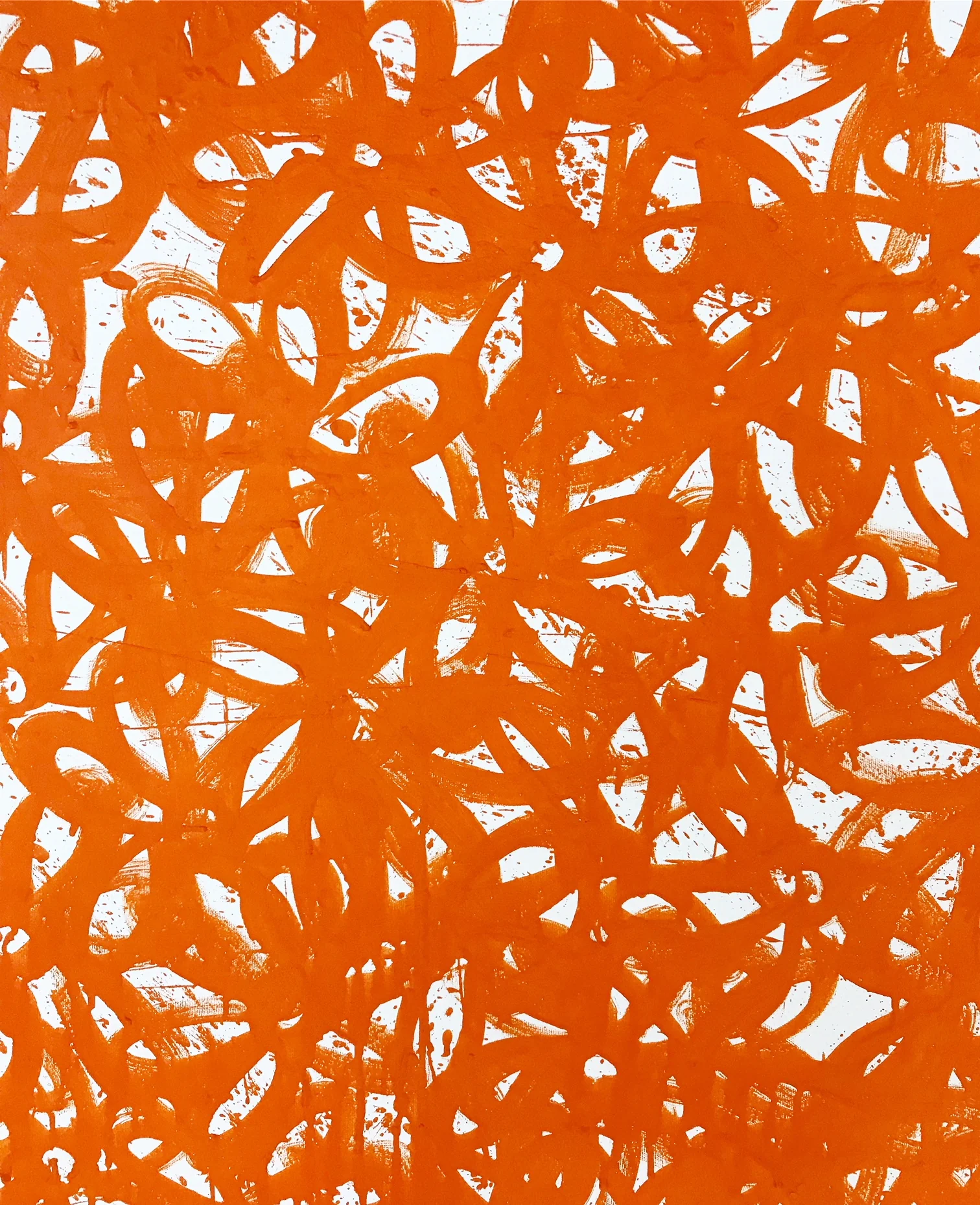 Daisies, Orange - Image 5