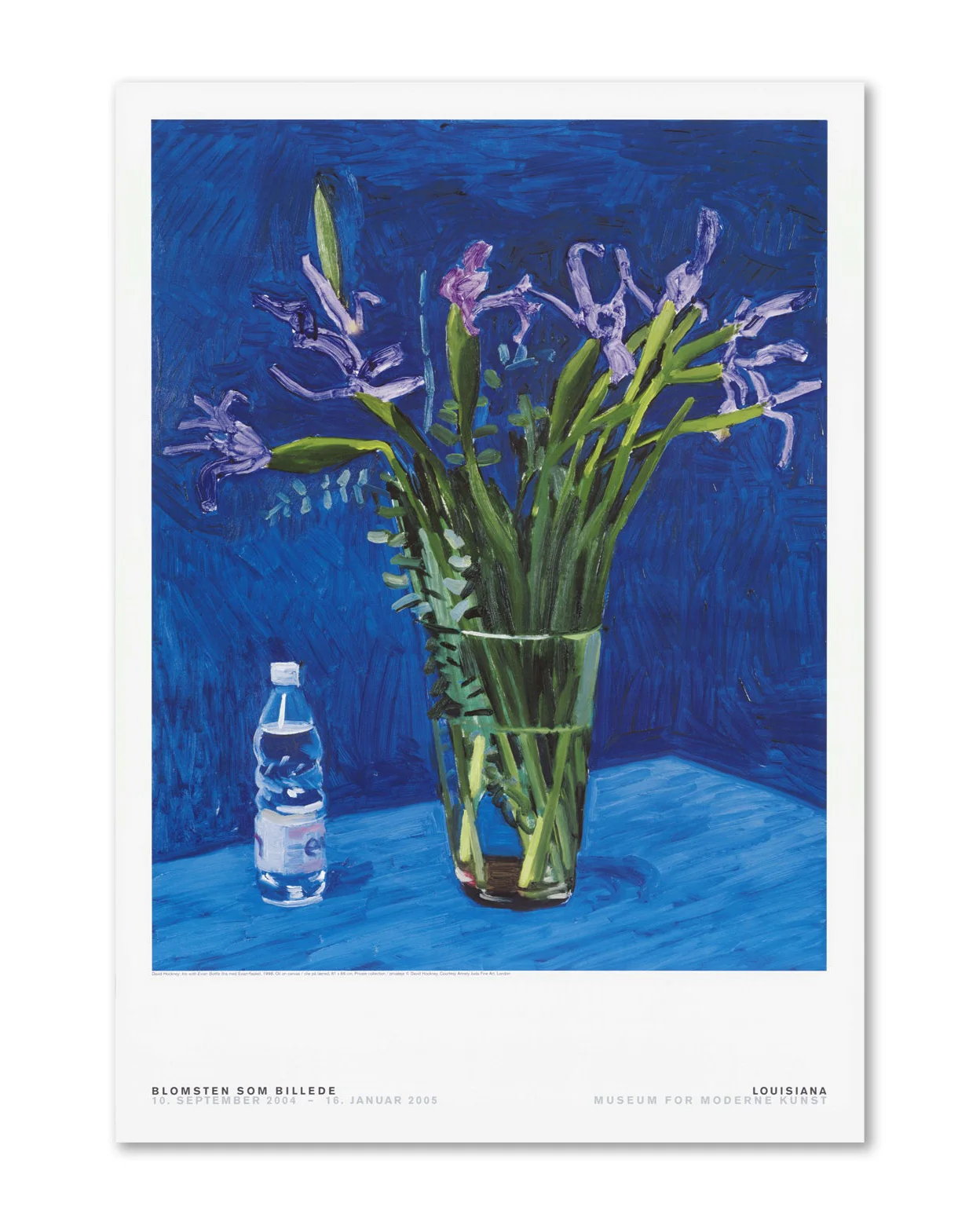 David Hockney - Iris with Evian Bottle (1998)