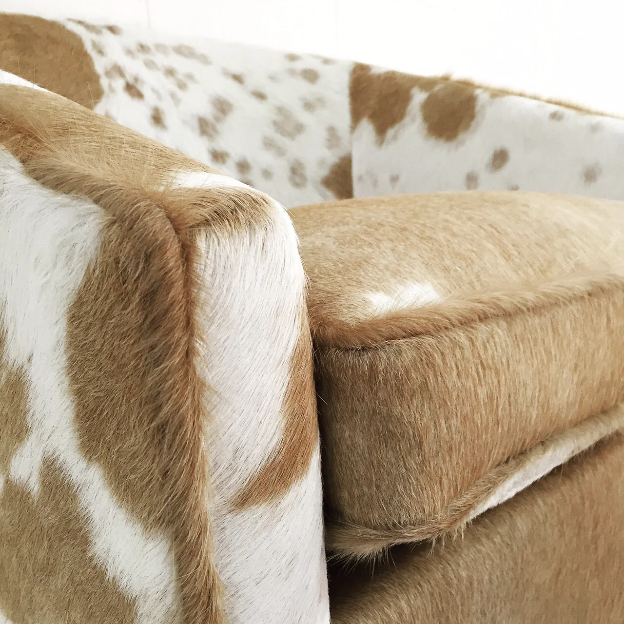 Club Chair in Brazilian Cowhide - Image 2