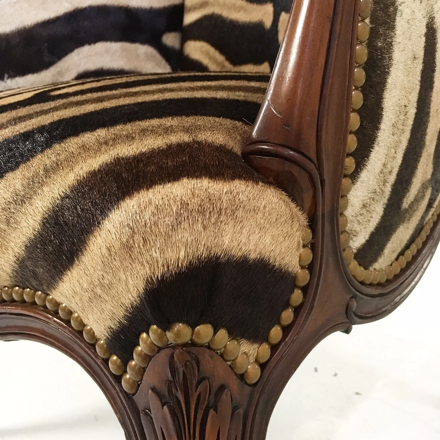 English Wingback in Zebra Hide - Image 3
