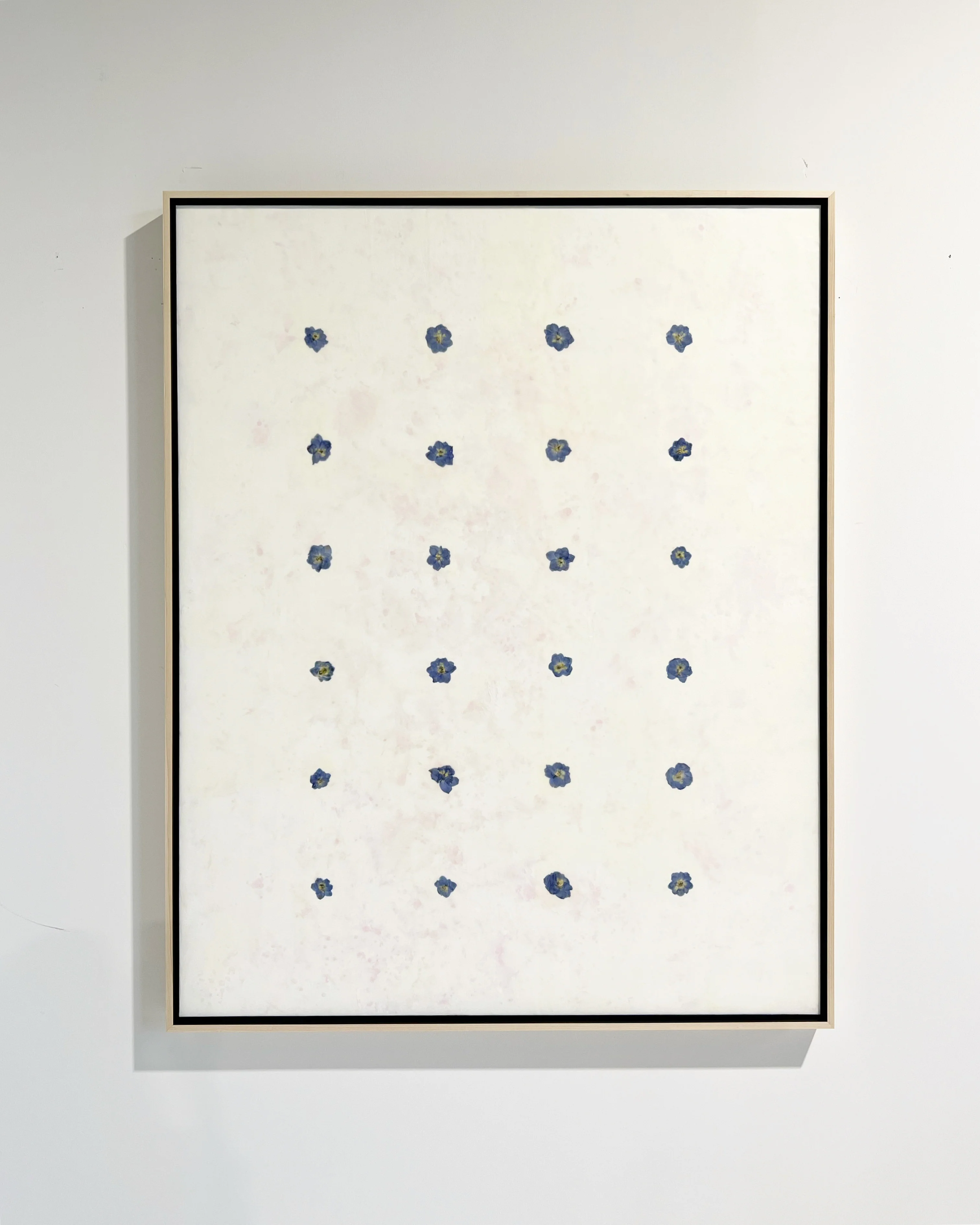 Fiori, 1 - Image 6