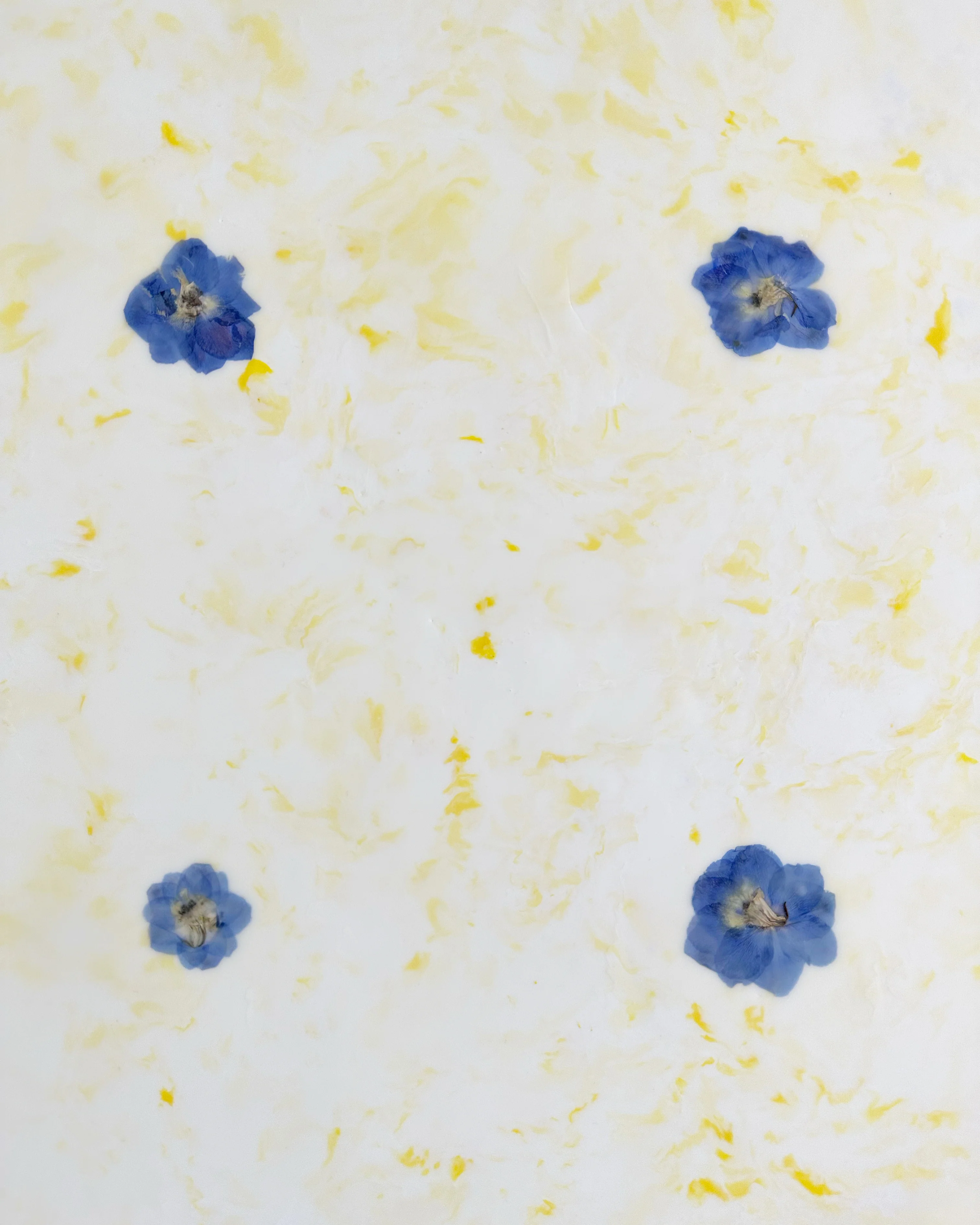 Fiori, 2 - Image 5