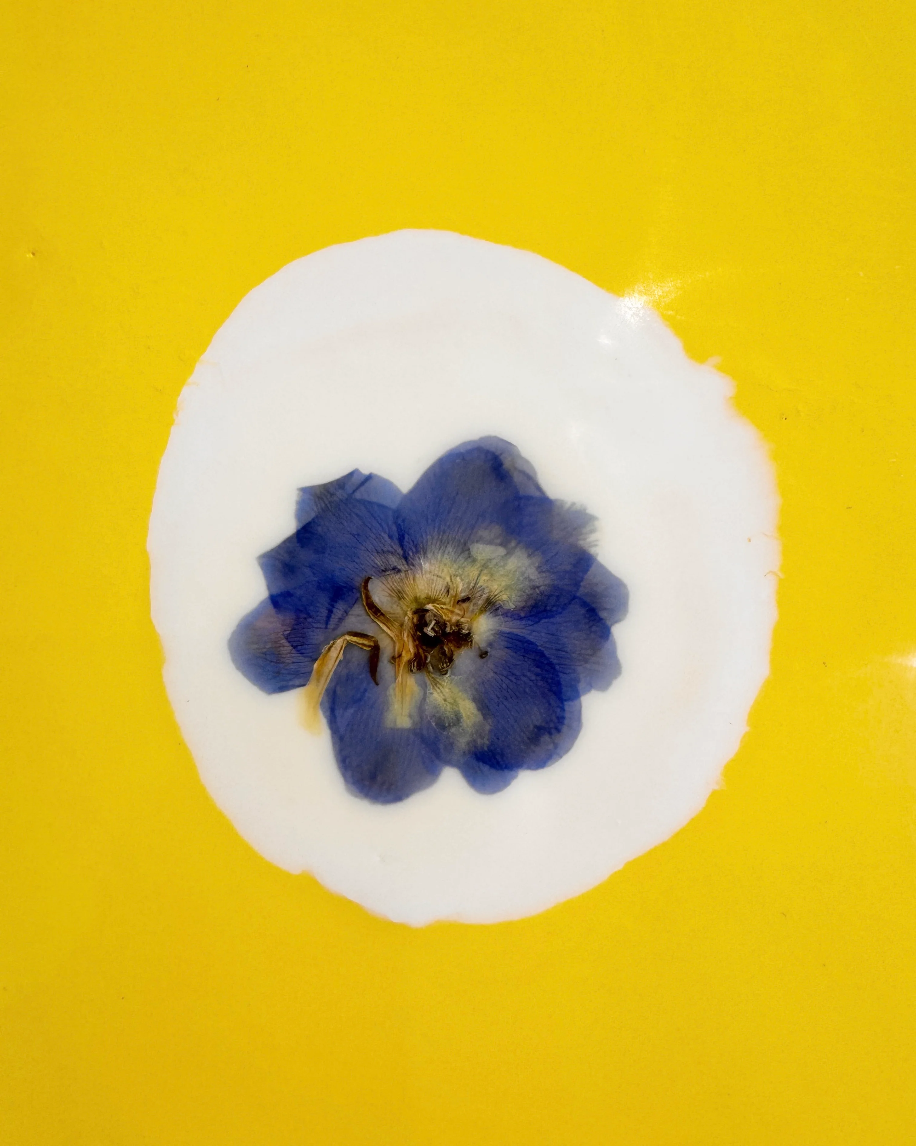 Fiori, 5 - Image 4