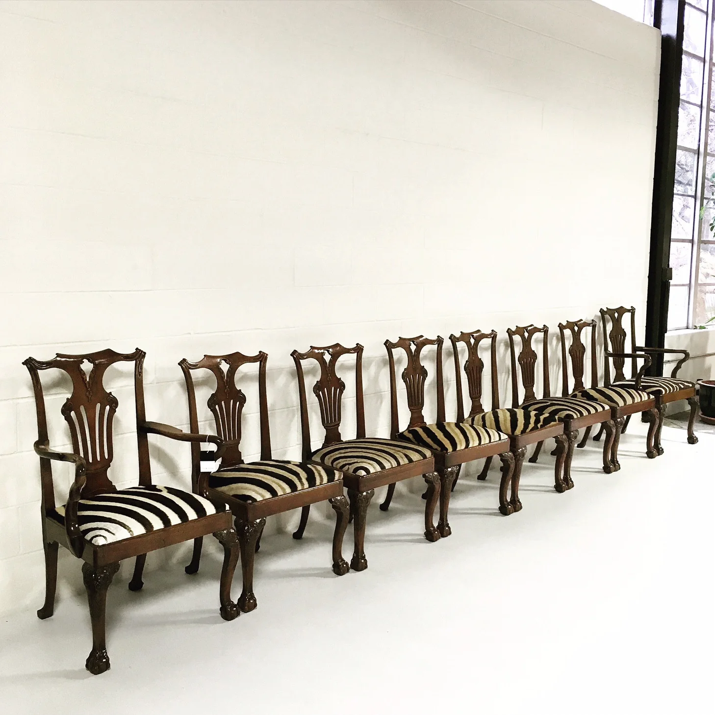 George II Walnut Dining Chairs in Zebra Hide, set of 8
