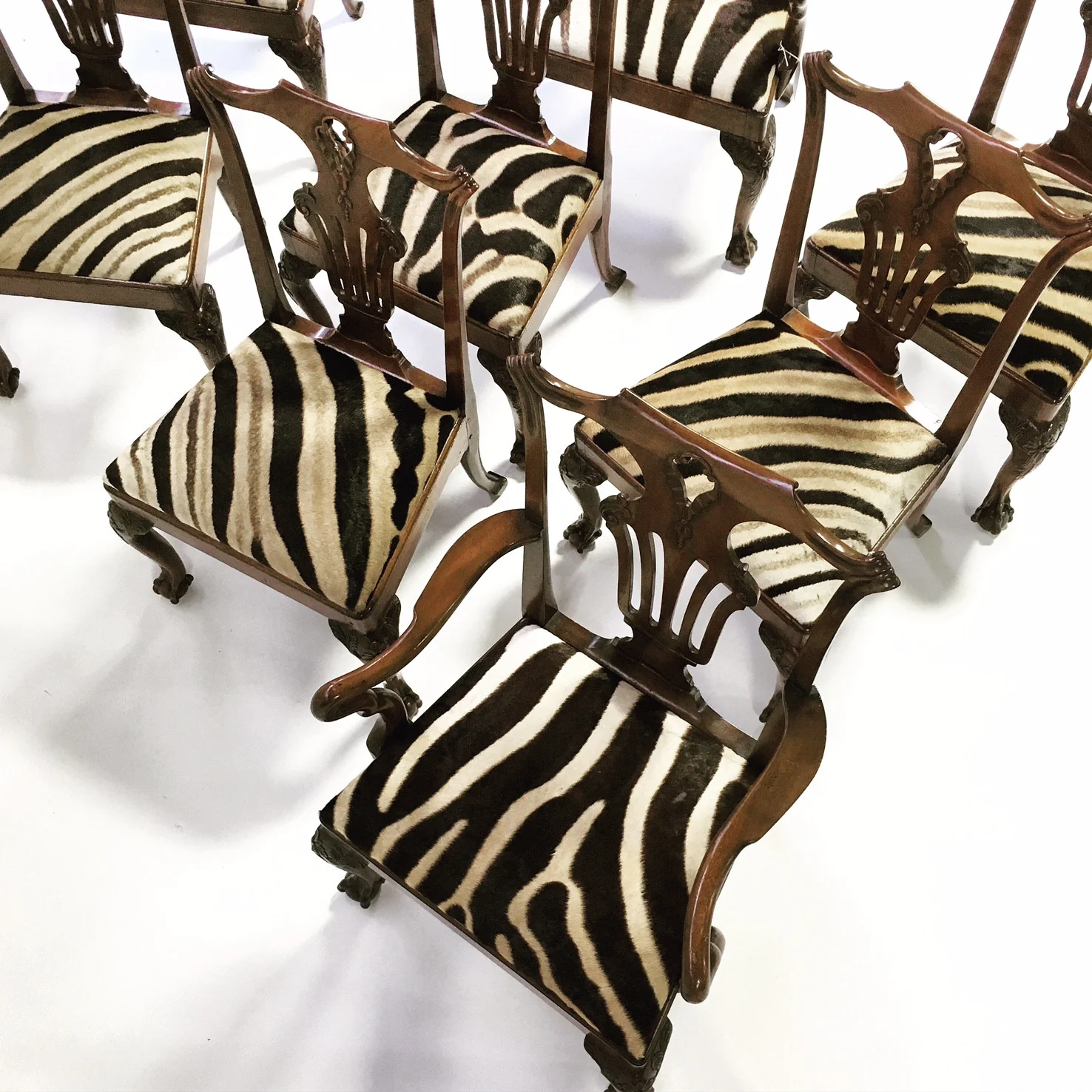 George II Walnut Dining Chairs in Zebra Hide, set of 8 - Image 2