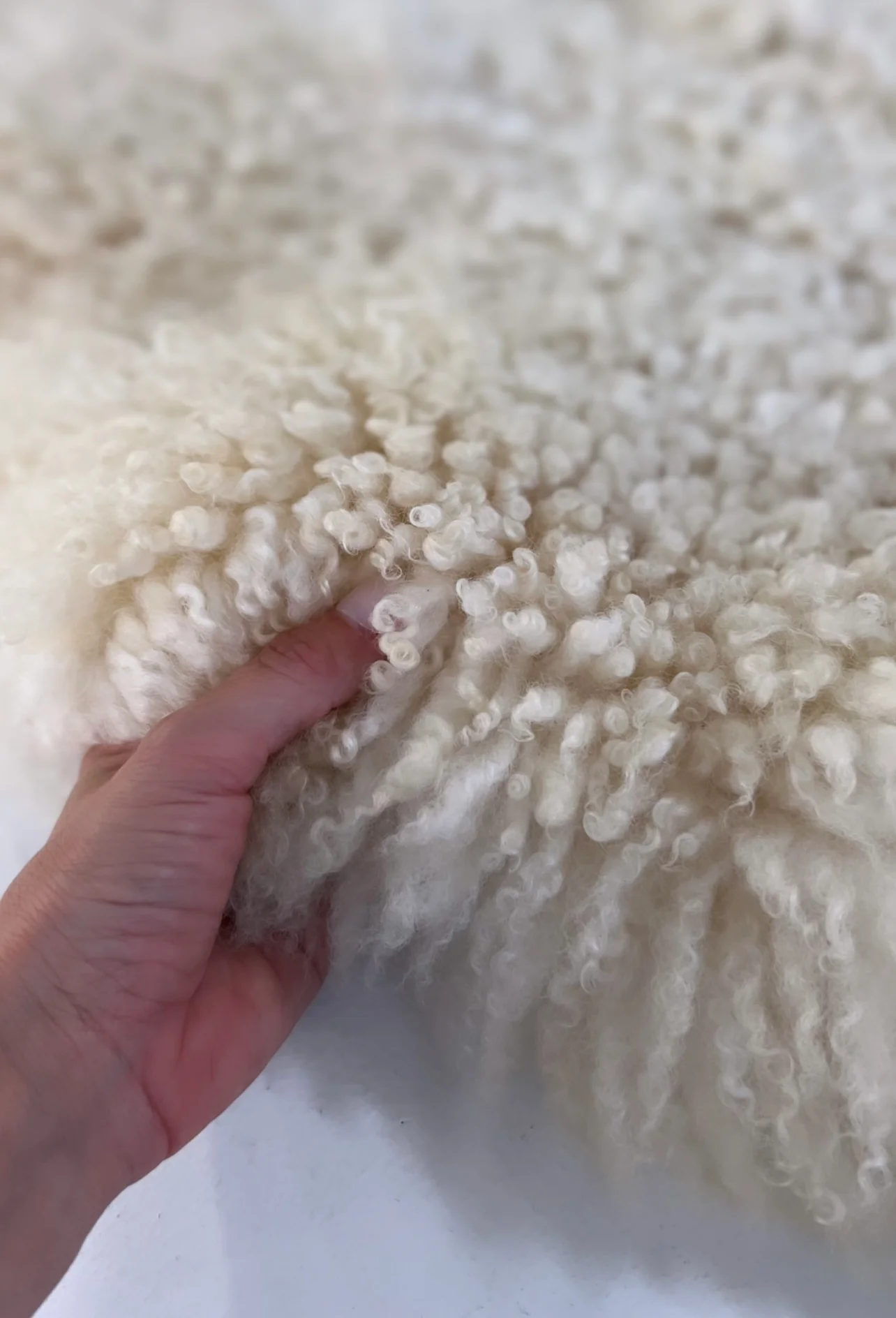 Gotland Sheepskin Rug - Ivory - Image 2