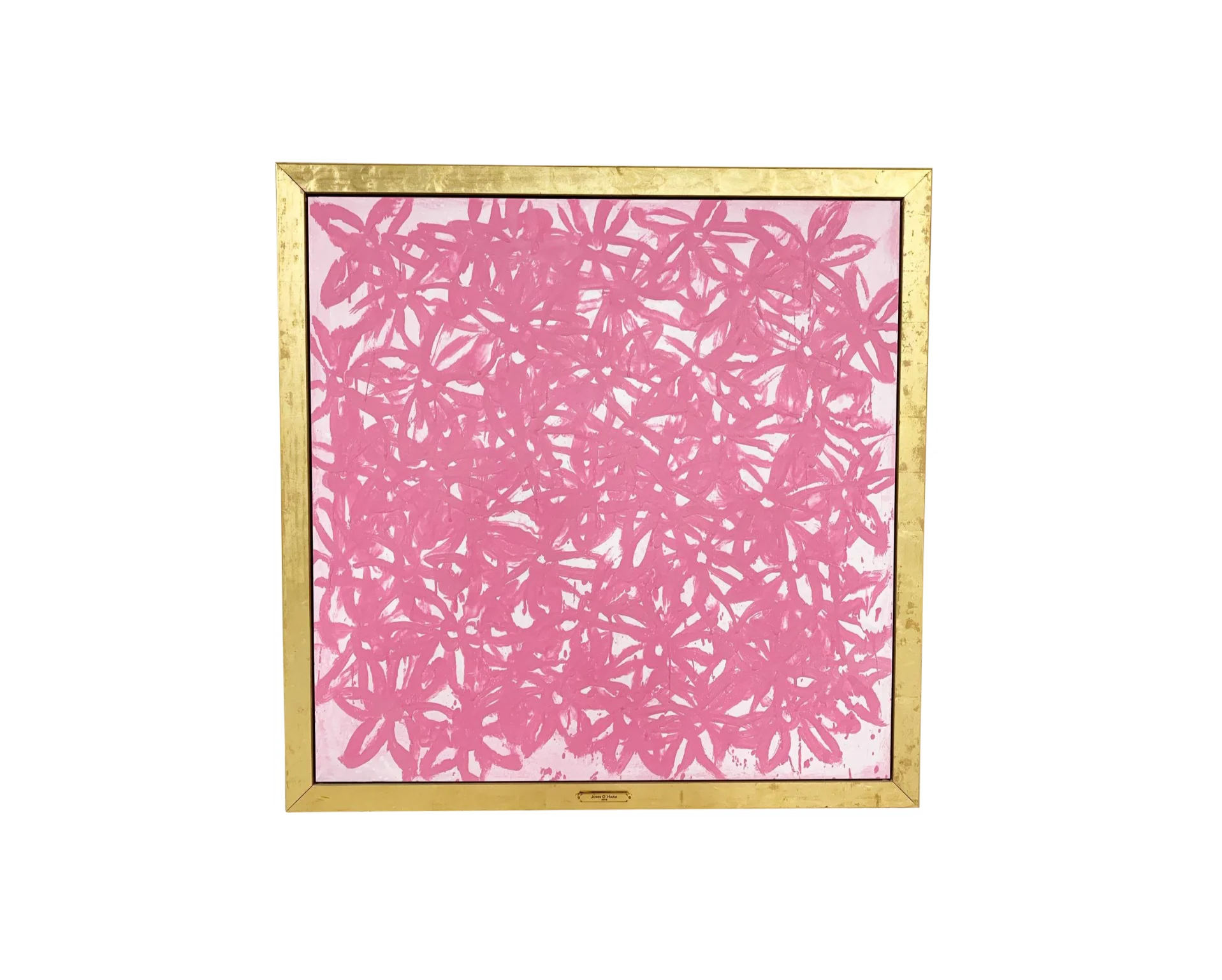 Daisies, Pink