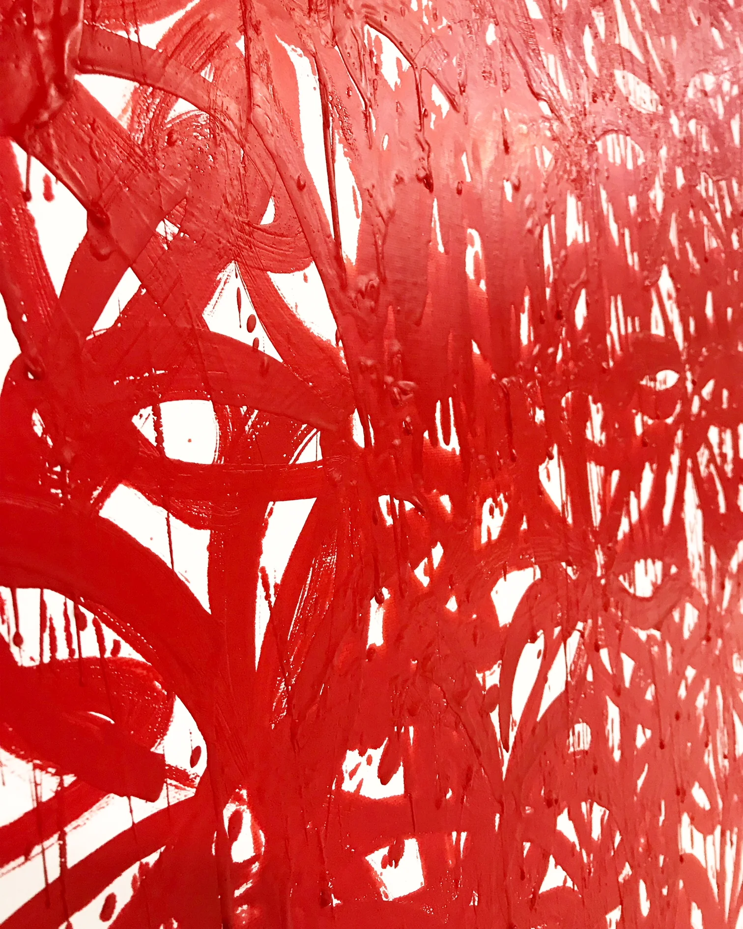 Daisies, Red - Image 6