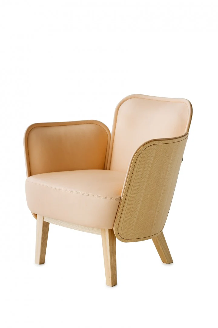 Julius Easy Chair - Image 4
