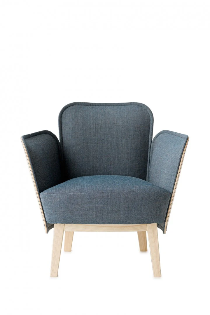 Julius Easy Chair - Image 6