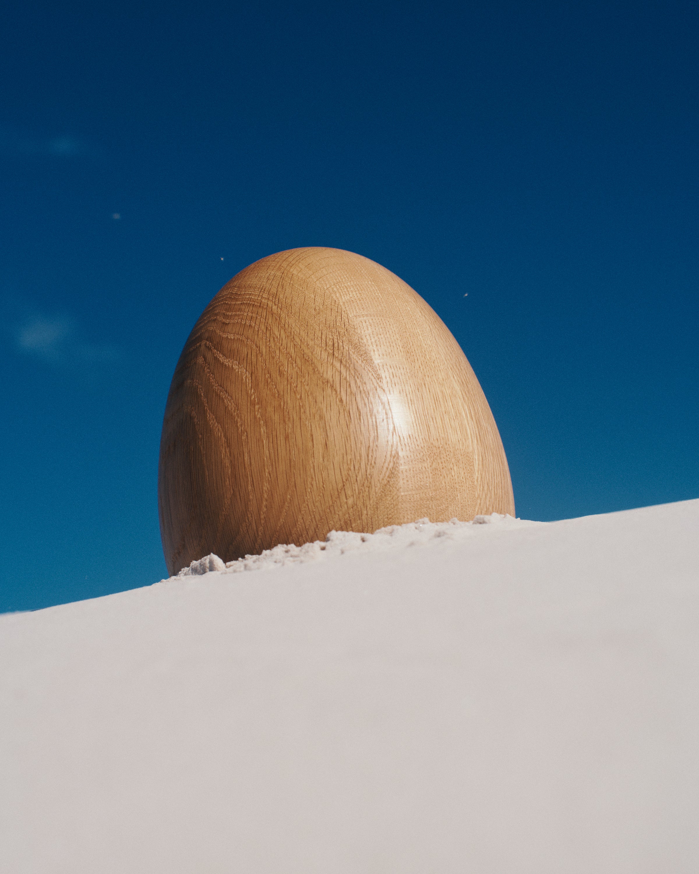 Large Oak Egg Sculpture - Image 10