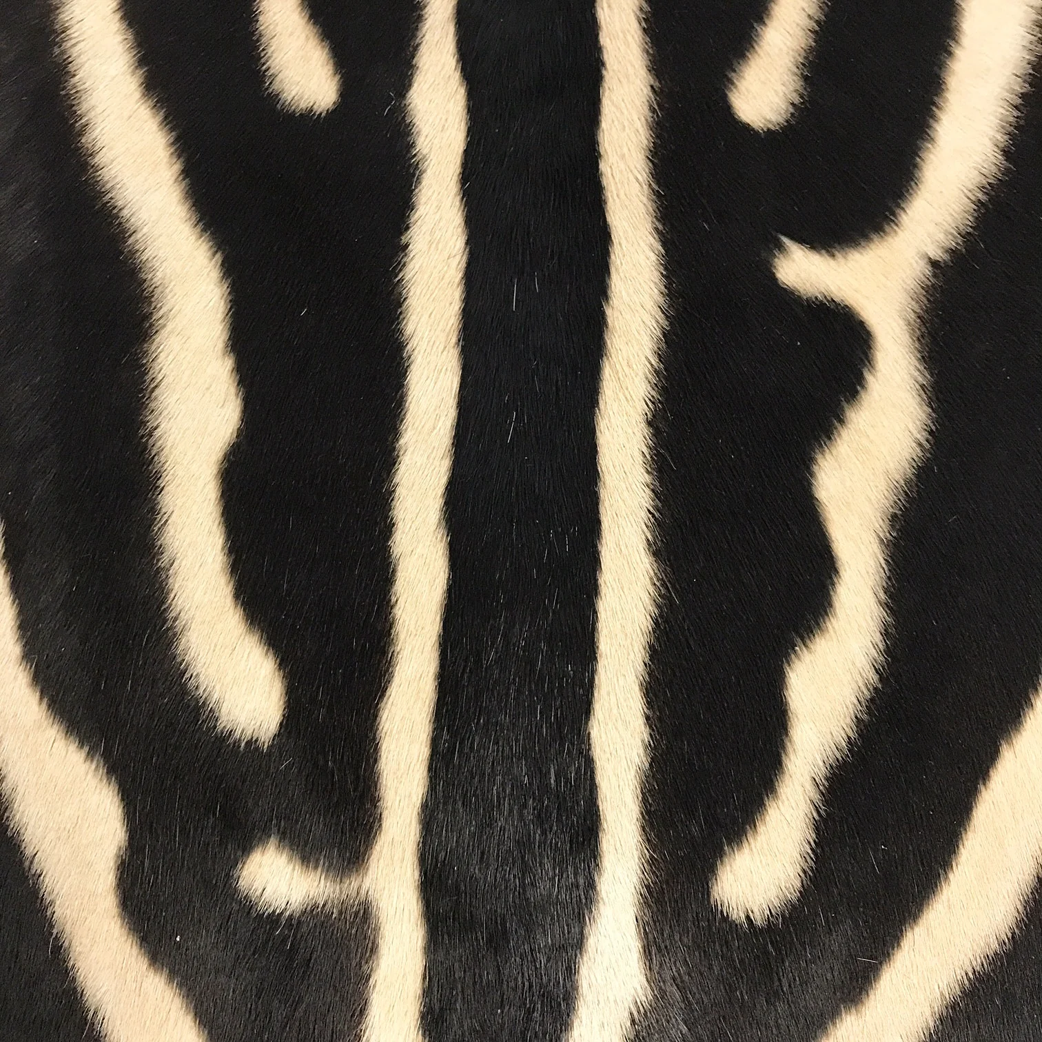 Large Ottoman in Zebra Hide - Image 9