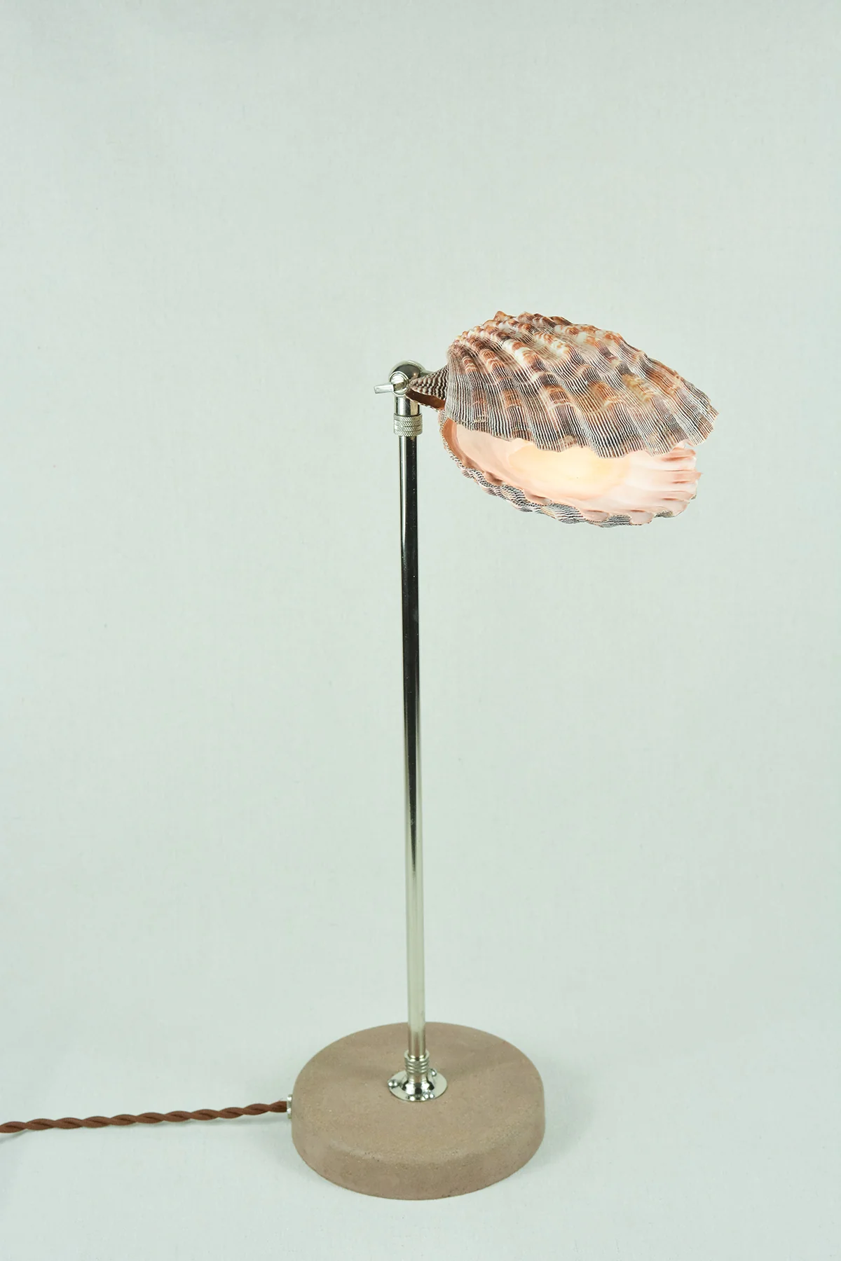 Lavender Lion's Paw Lamp - Image 10
