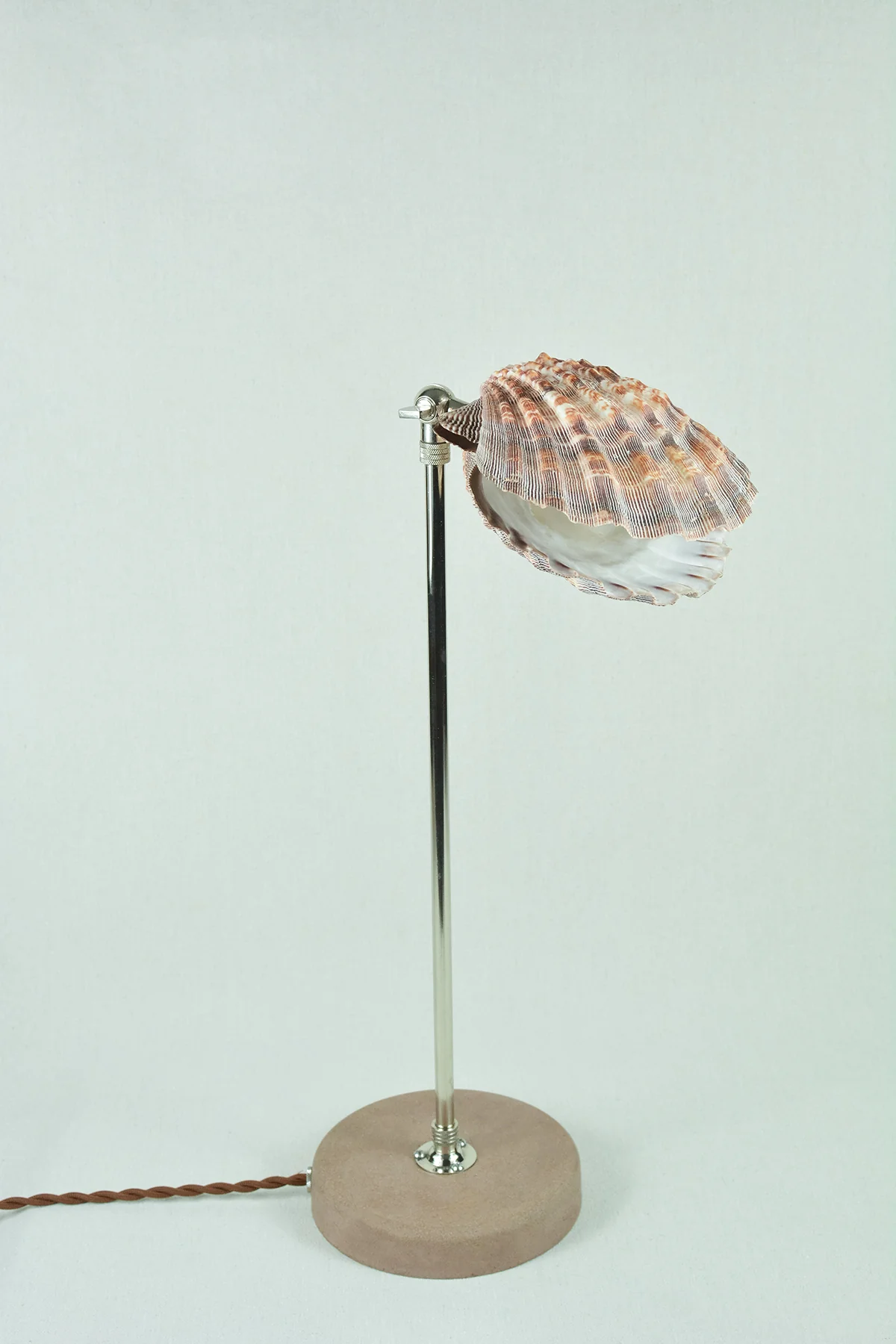 Lavender Lion's Paw Lamp - Image 11