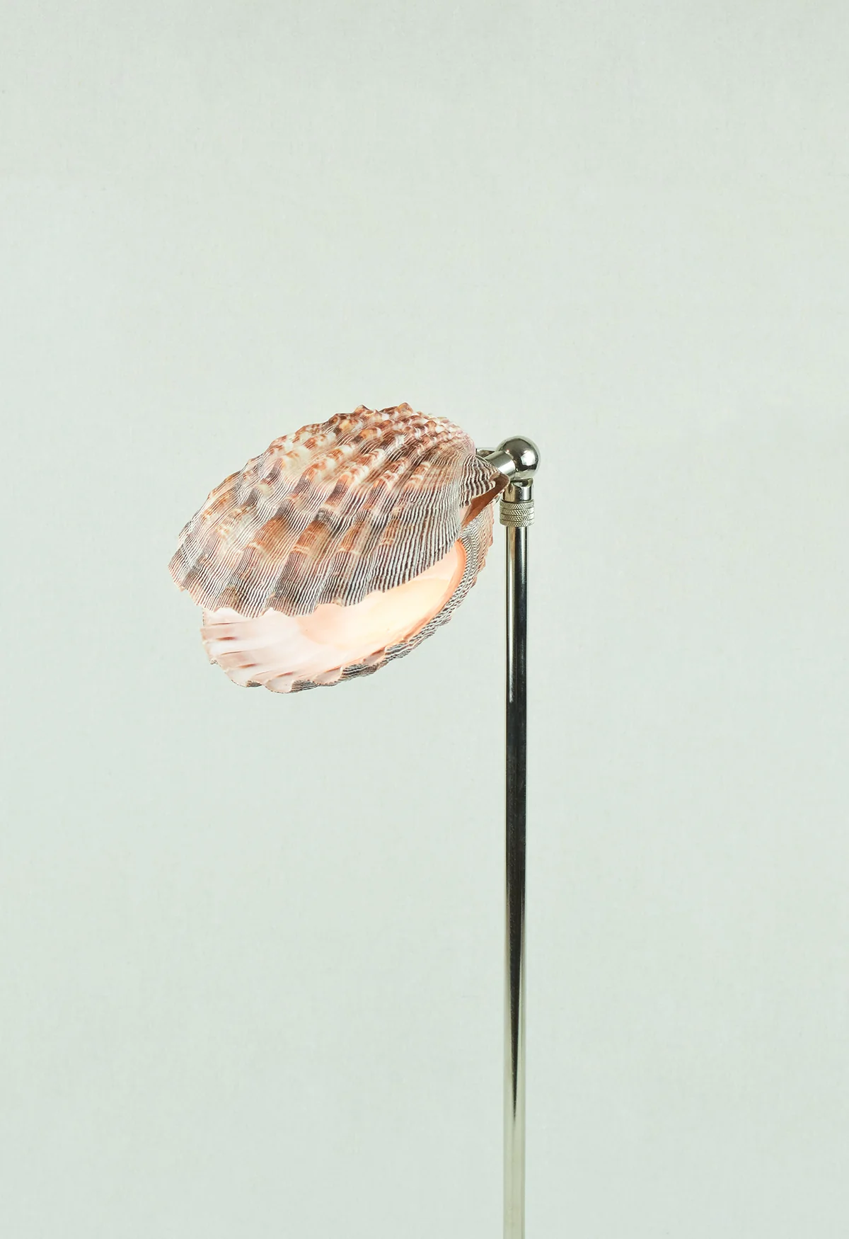 Lavender Lion's Paw Lamp - Image 5