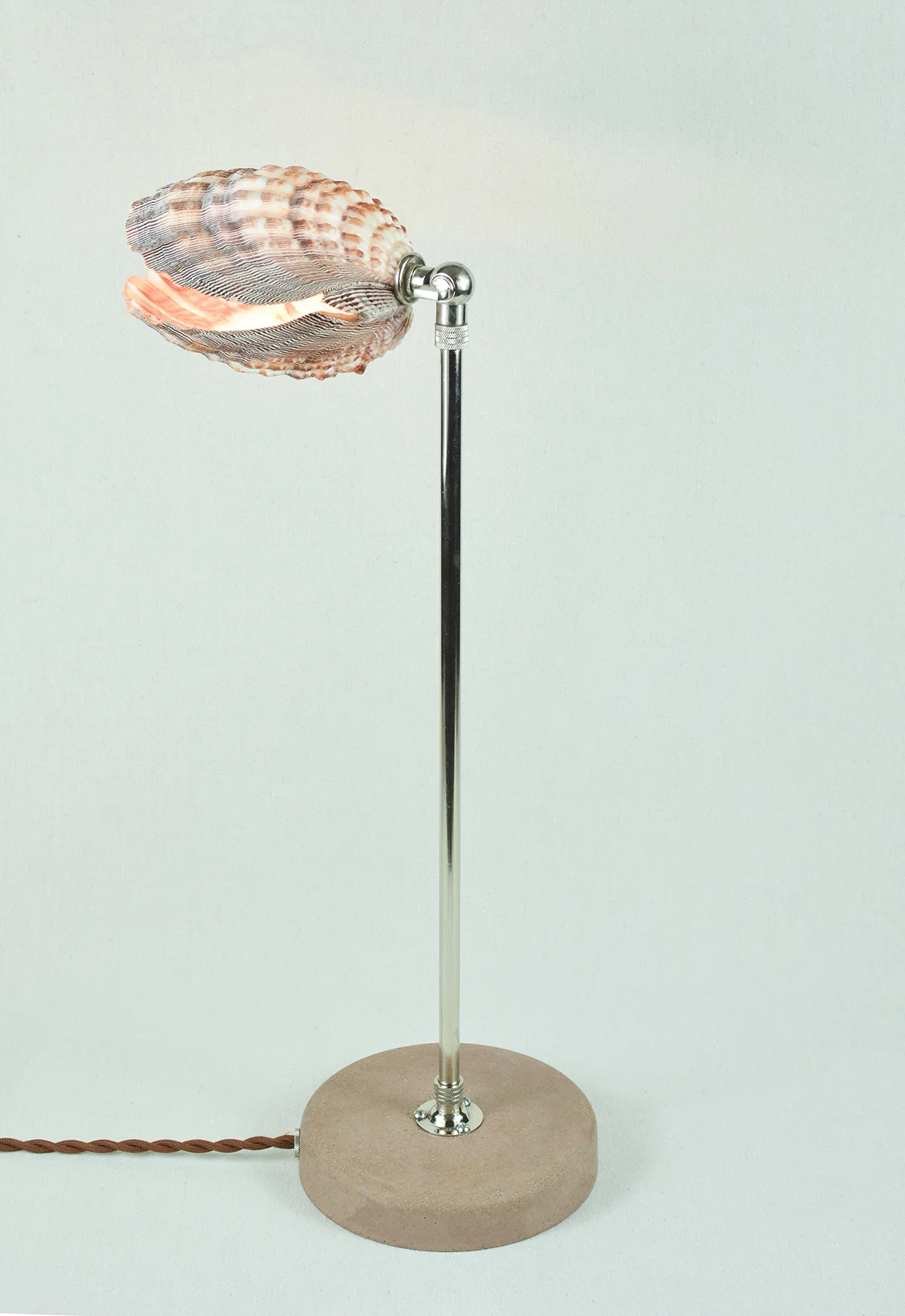 Lavender Lion's Paw Lamp - Image 8