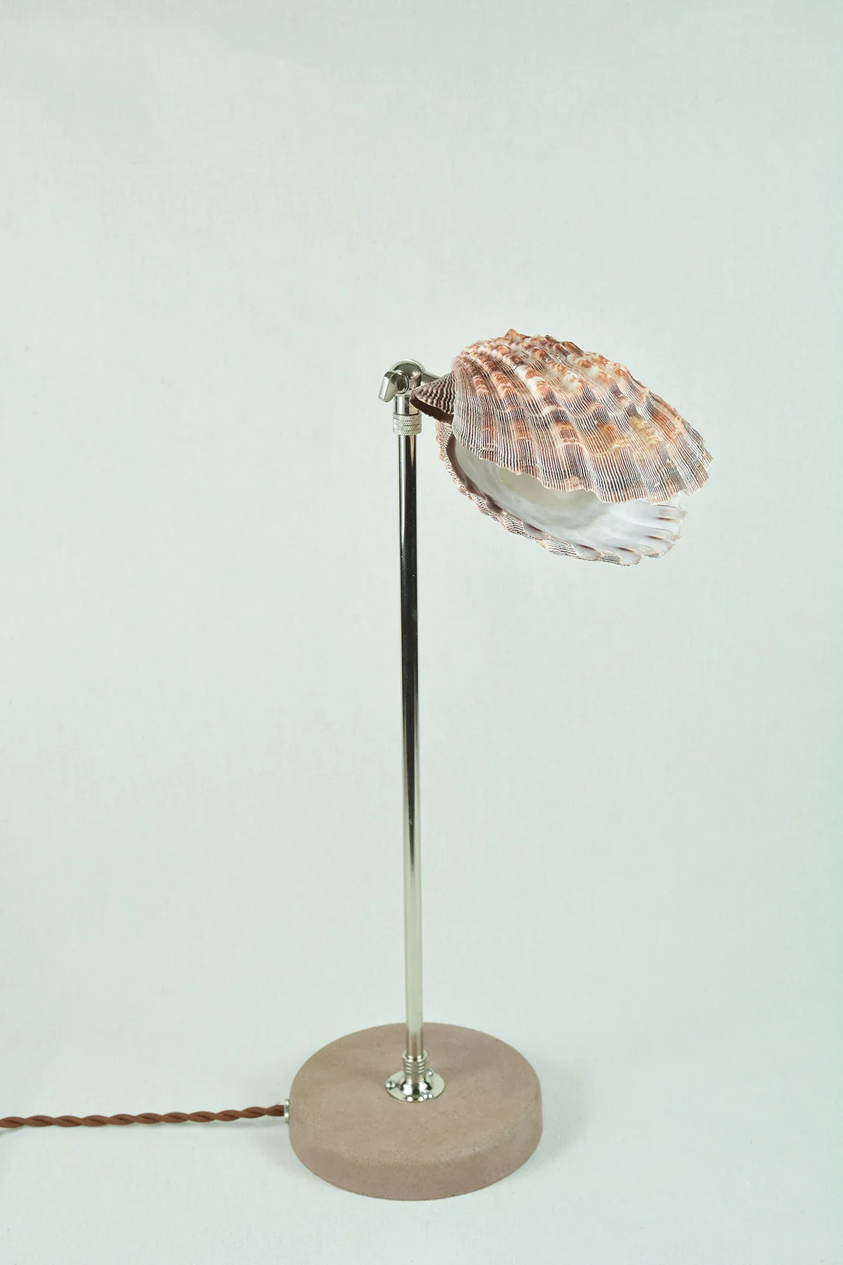 Lavender Lion's Paw Lamp - Image 9