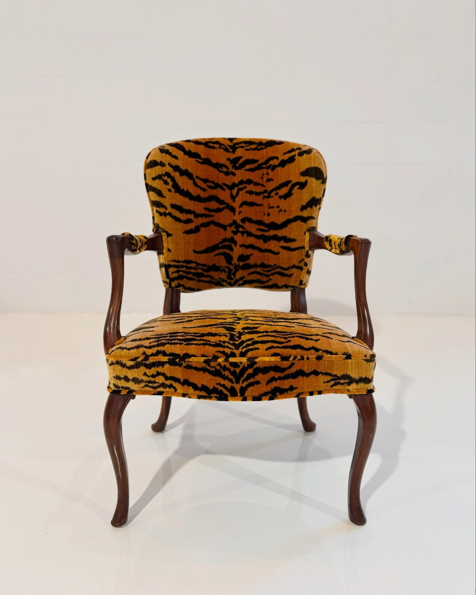 Armchair in Luigi Bevilacqua Tigre Velvet - Image 3