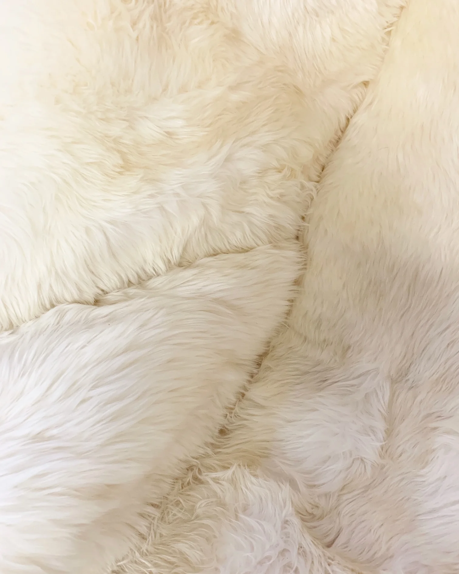 Alpha Egg Chair and Ottoman in New Zealand Sheepskin - Image 8
