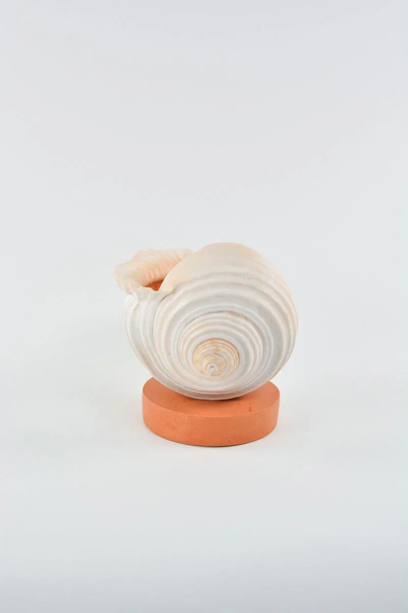 L'Escargot Incense Vessel Gift Set in Terra Cotta - Image 6