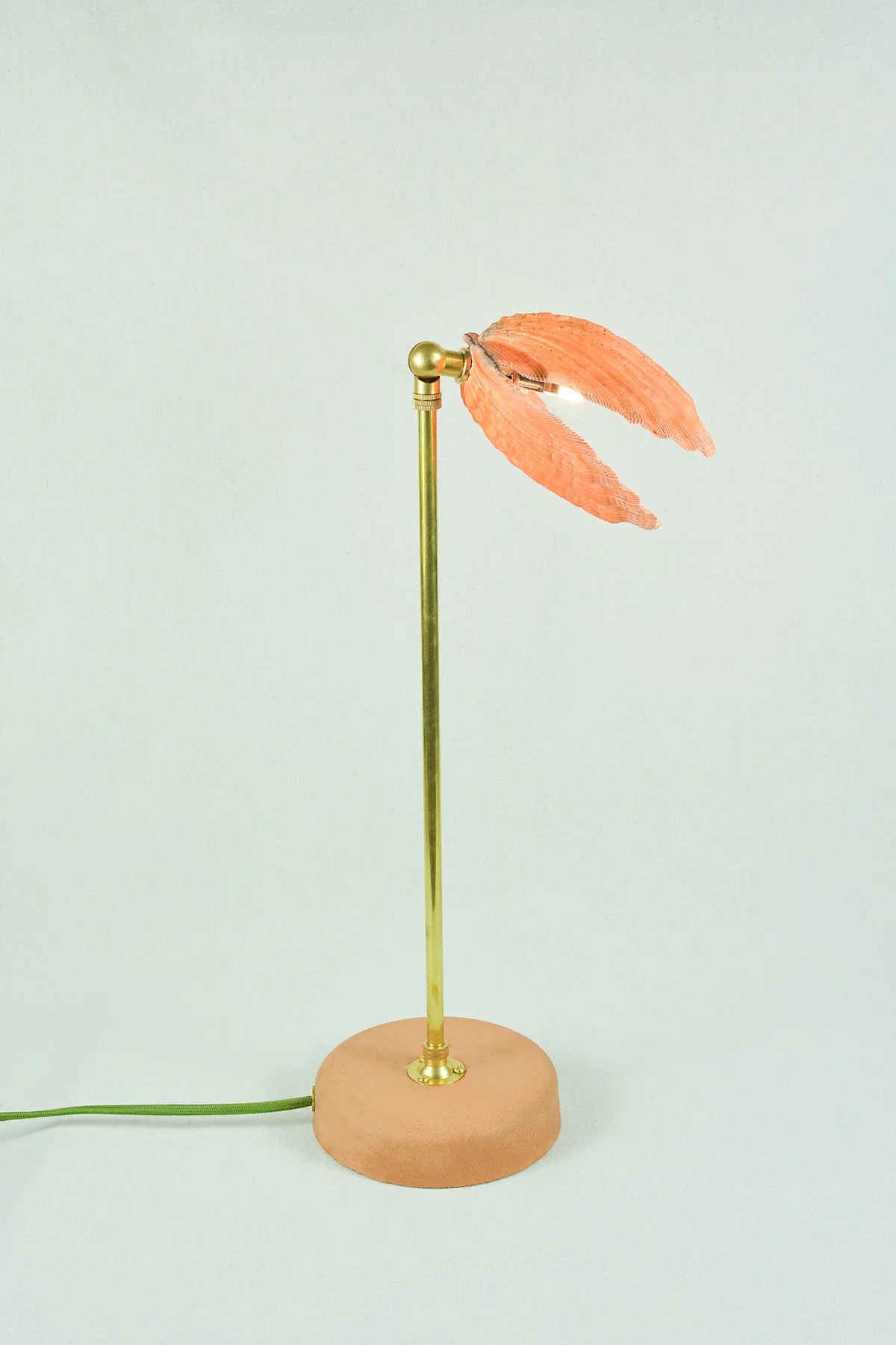 Lion's Paw Lamp - Image 10