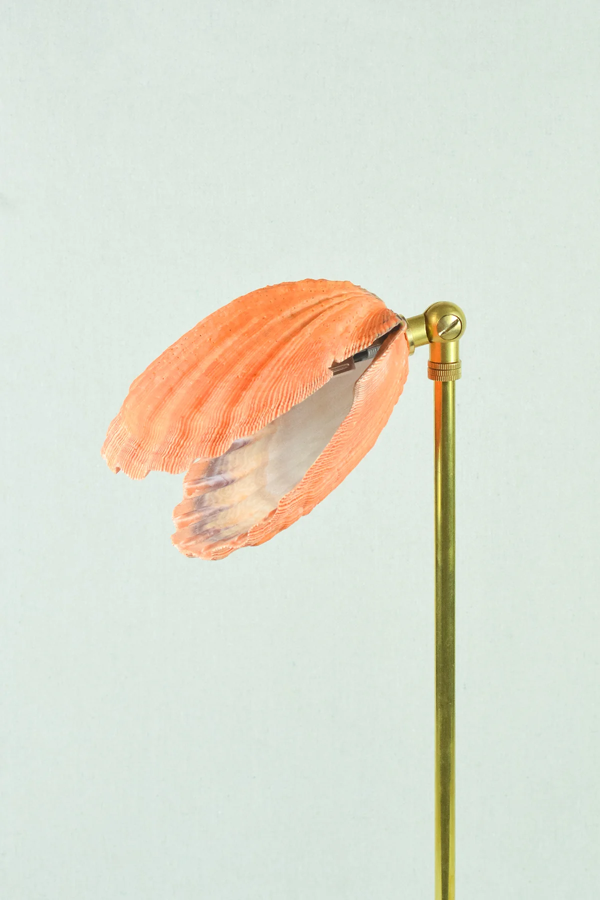 Lion's Paw Lamp - Image 11